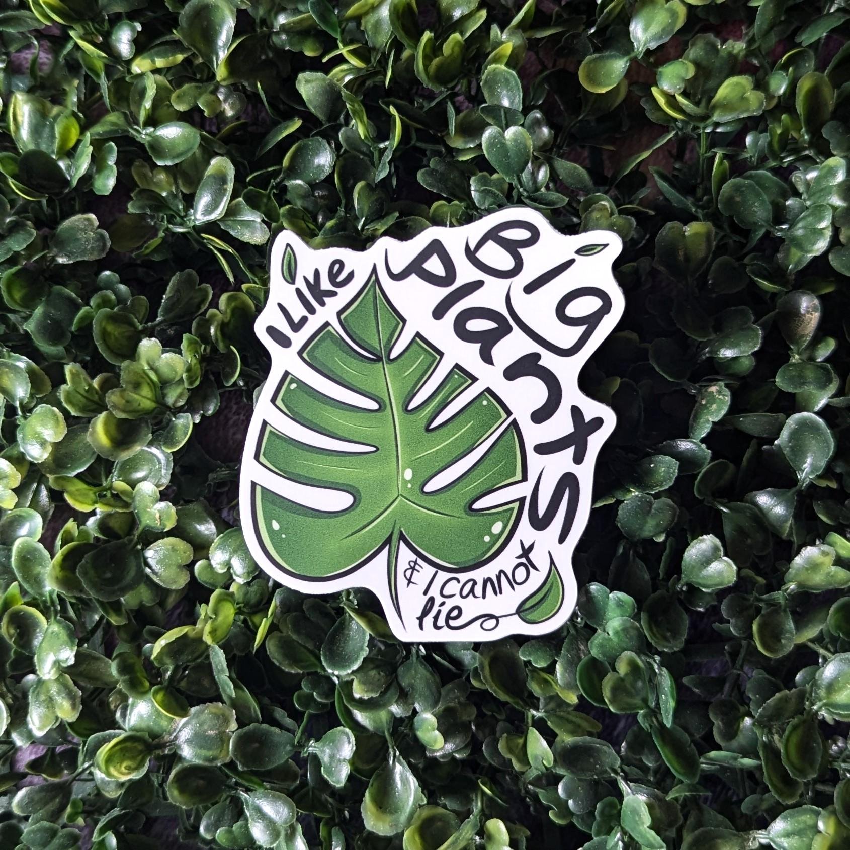 https://i.etsystatic.com/47381737/r/il/b5dcca/6192937846/il_fullxfull.6192937846_na0f.jpg