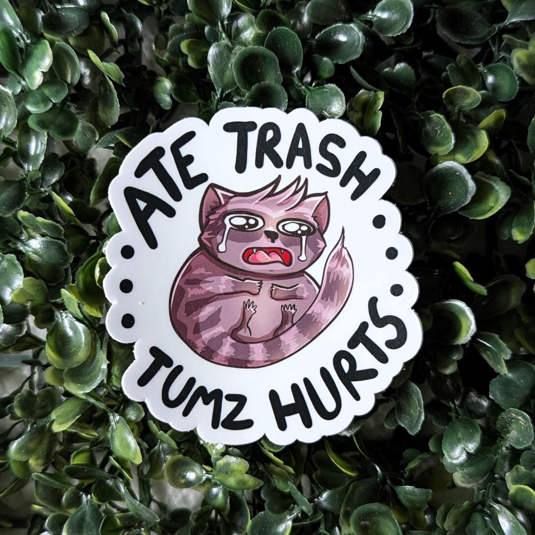 https://i.etsystatic.com/47381737/r/il/a88e02/6386487054/il_fullxfull.6386487054_6kit.jpg
