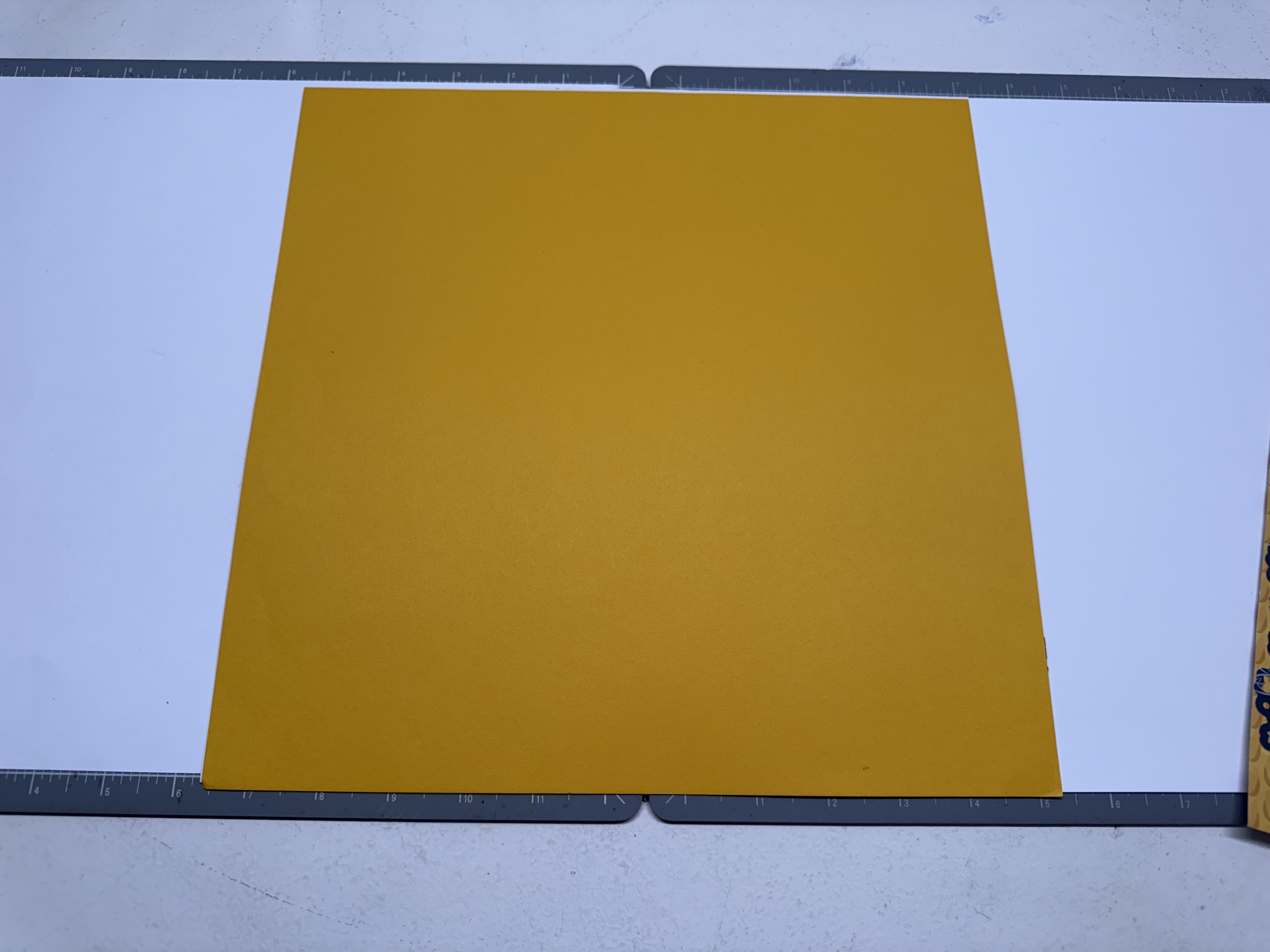 Back, Pumpkin Frame 2.jpg