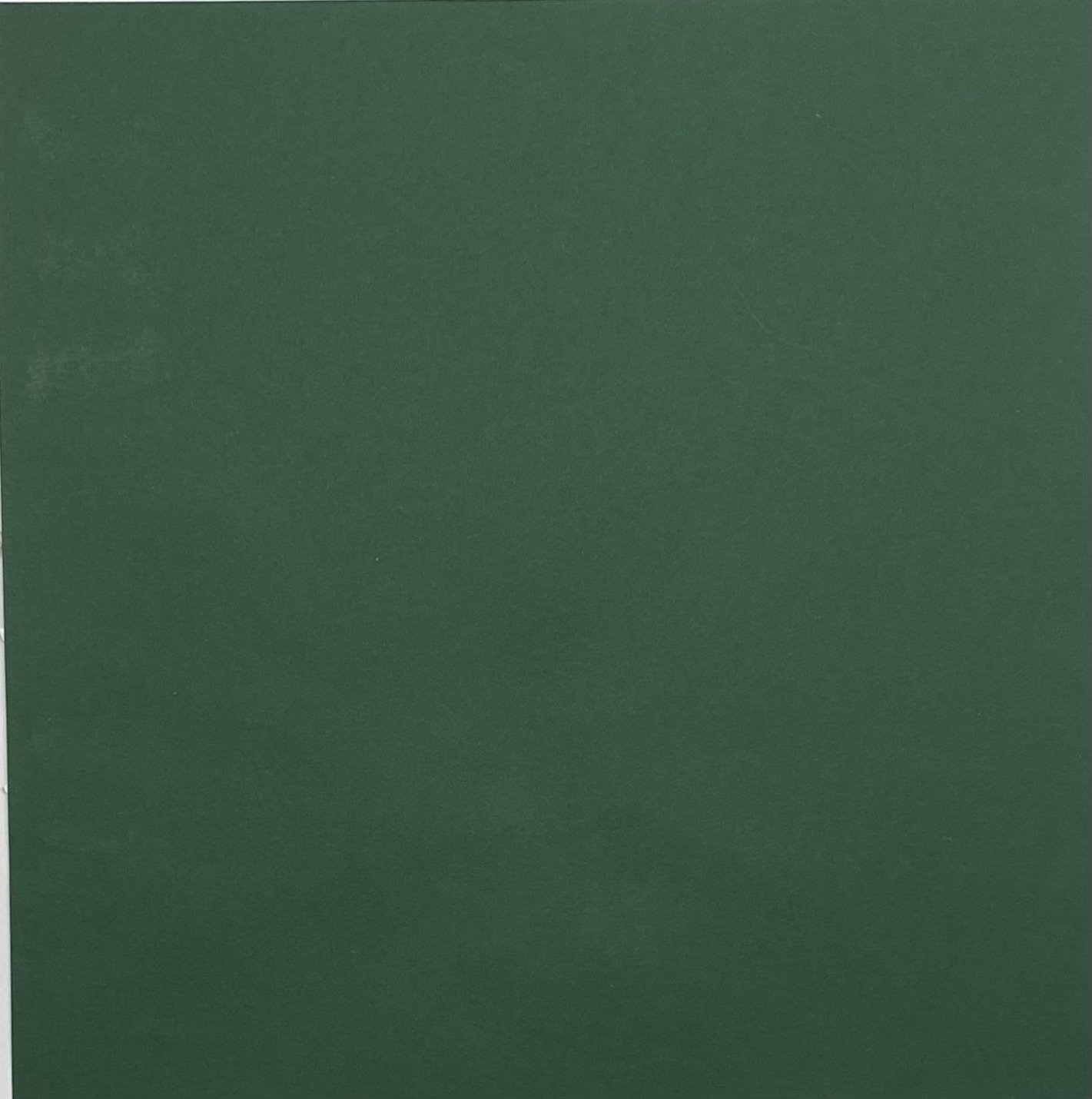 12 x 12 Turkey back .jpeg