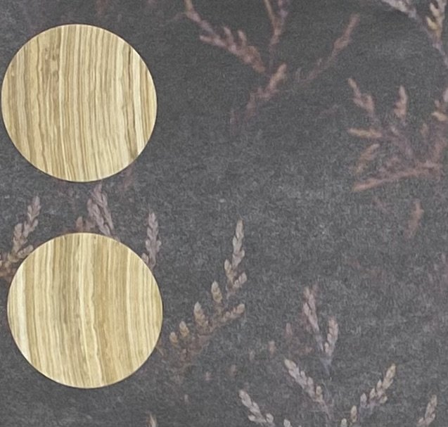 Tree leaves & rings left detail .jpeg