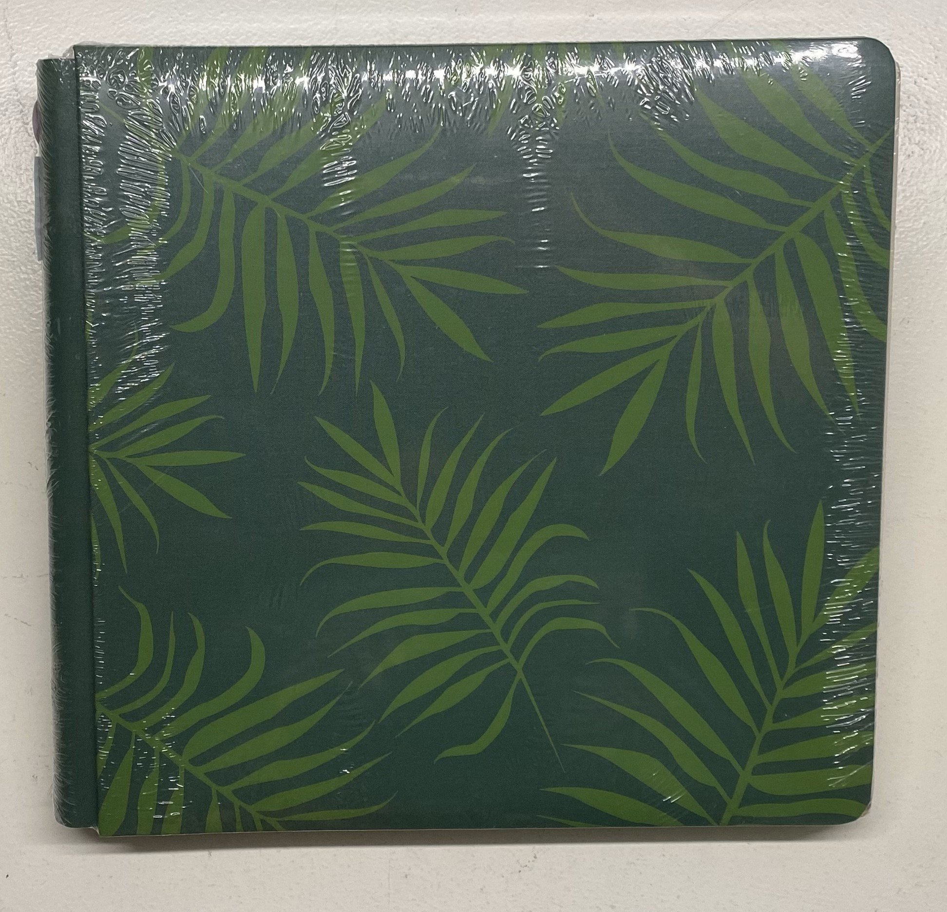 Tropic Time.jpeg