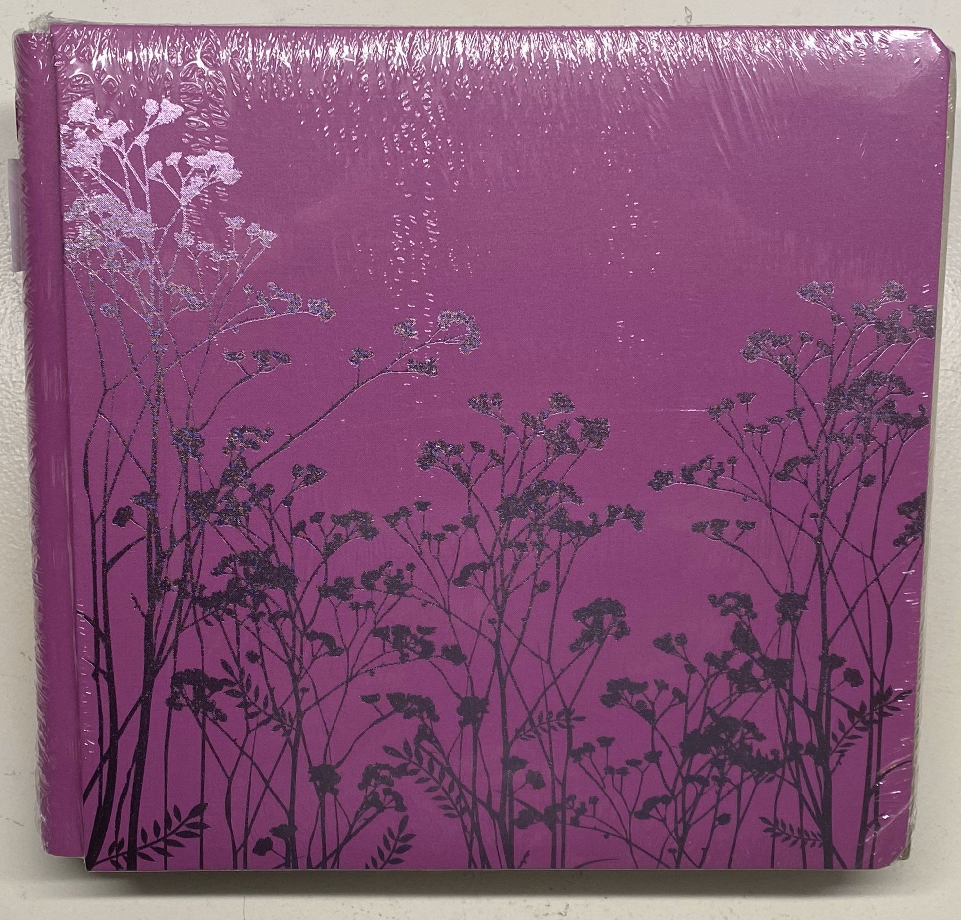 Painted Garden.jpeg