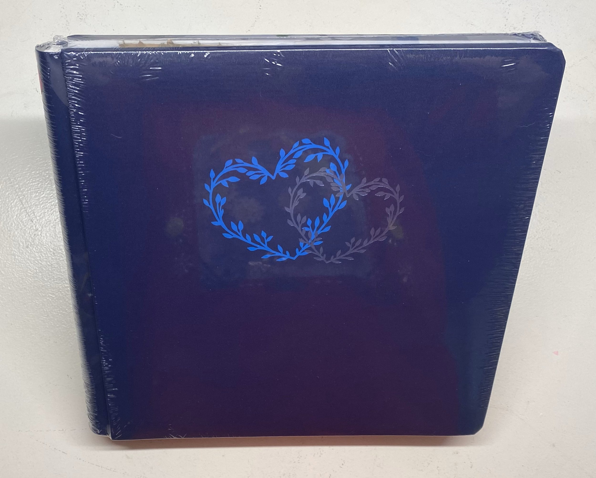 Something Blue.jpeg