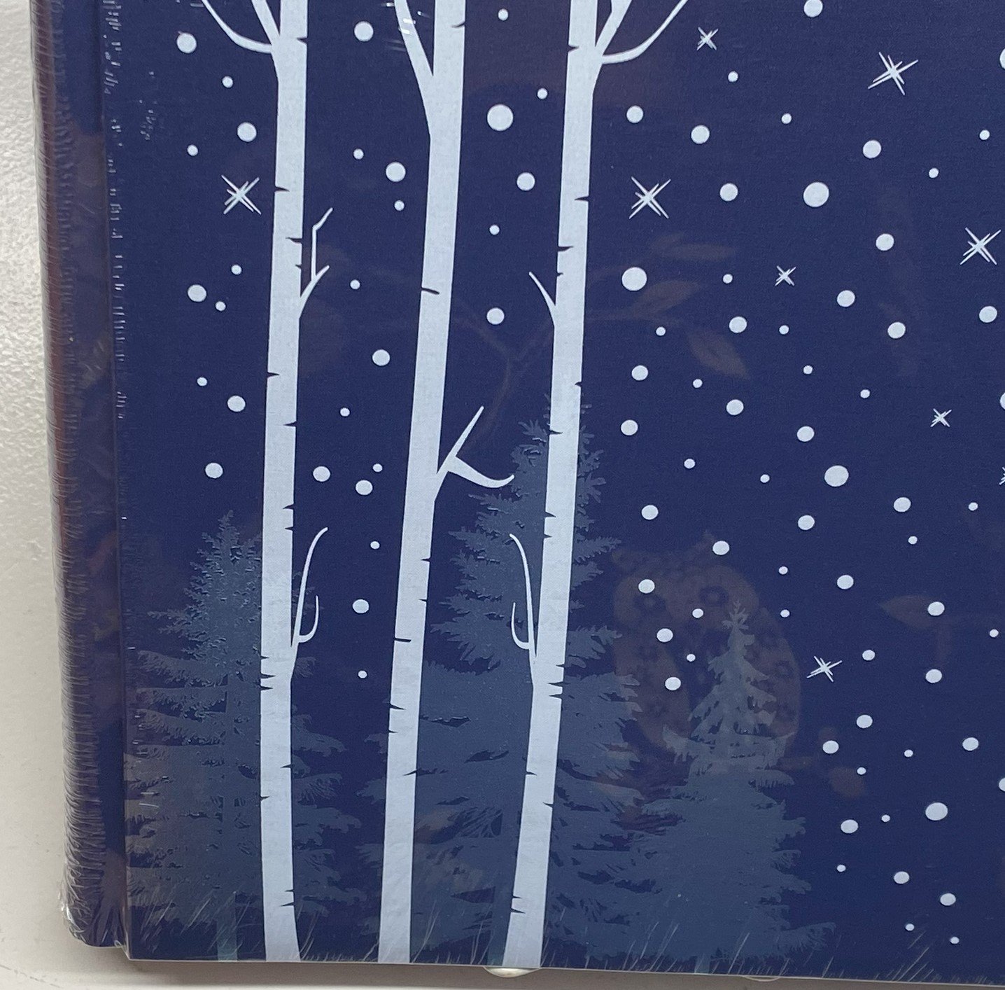 Frost, detail.jpeg