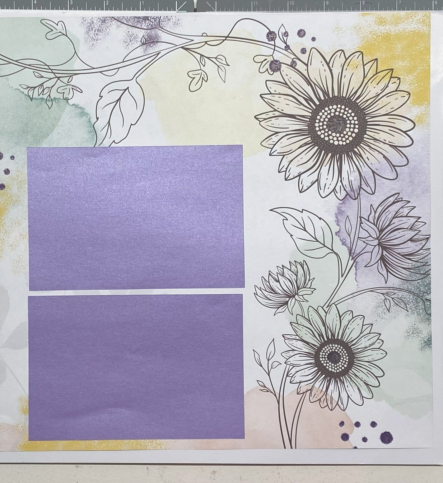 Sunflower Illustrations Right Side.jpeg