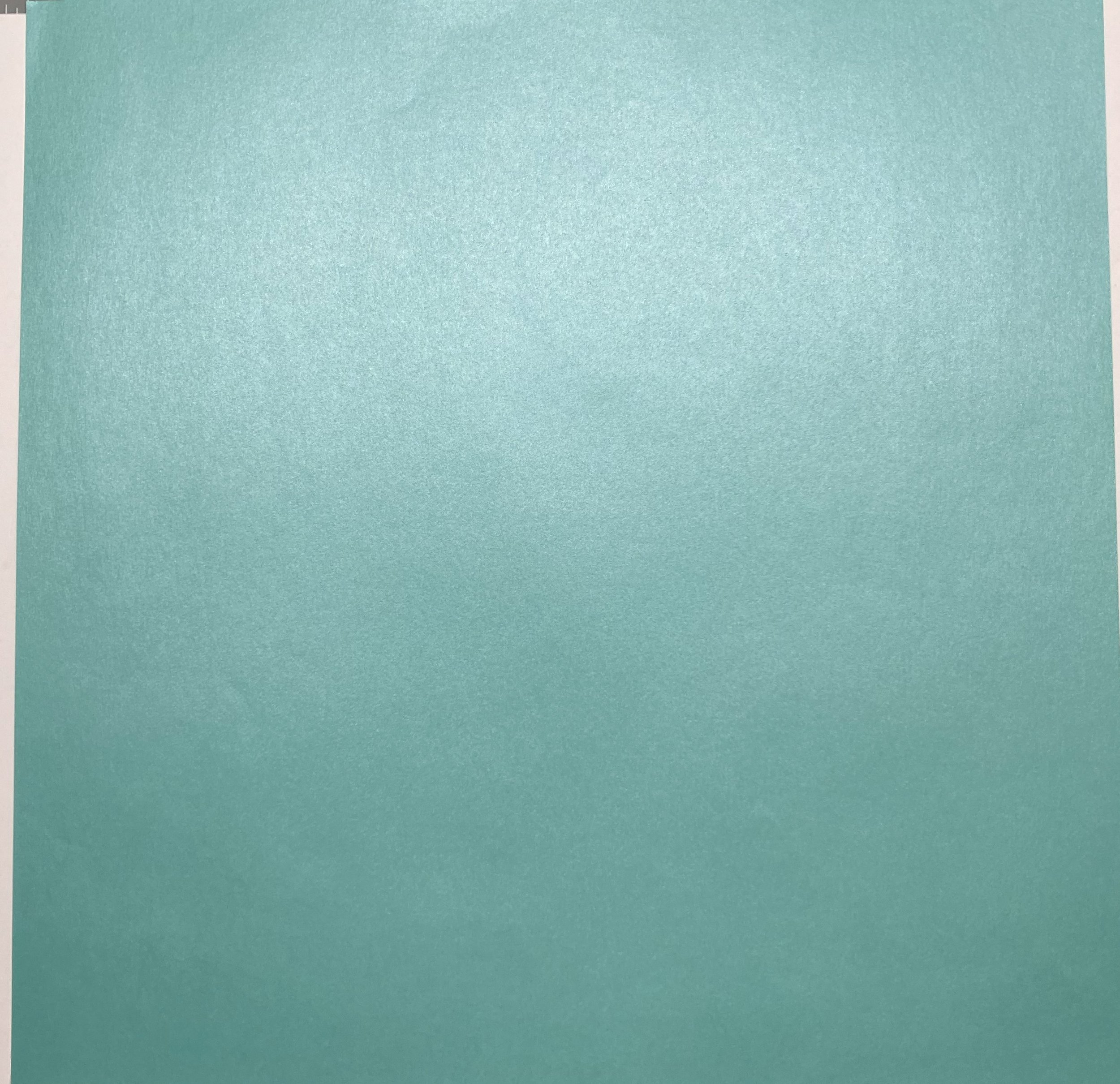 Lagoon Shimmer, back of page.jpeg