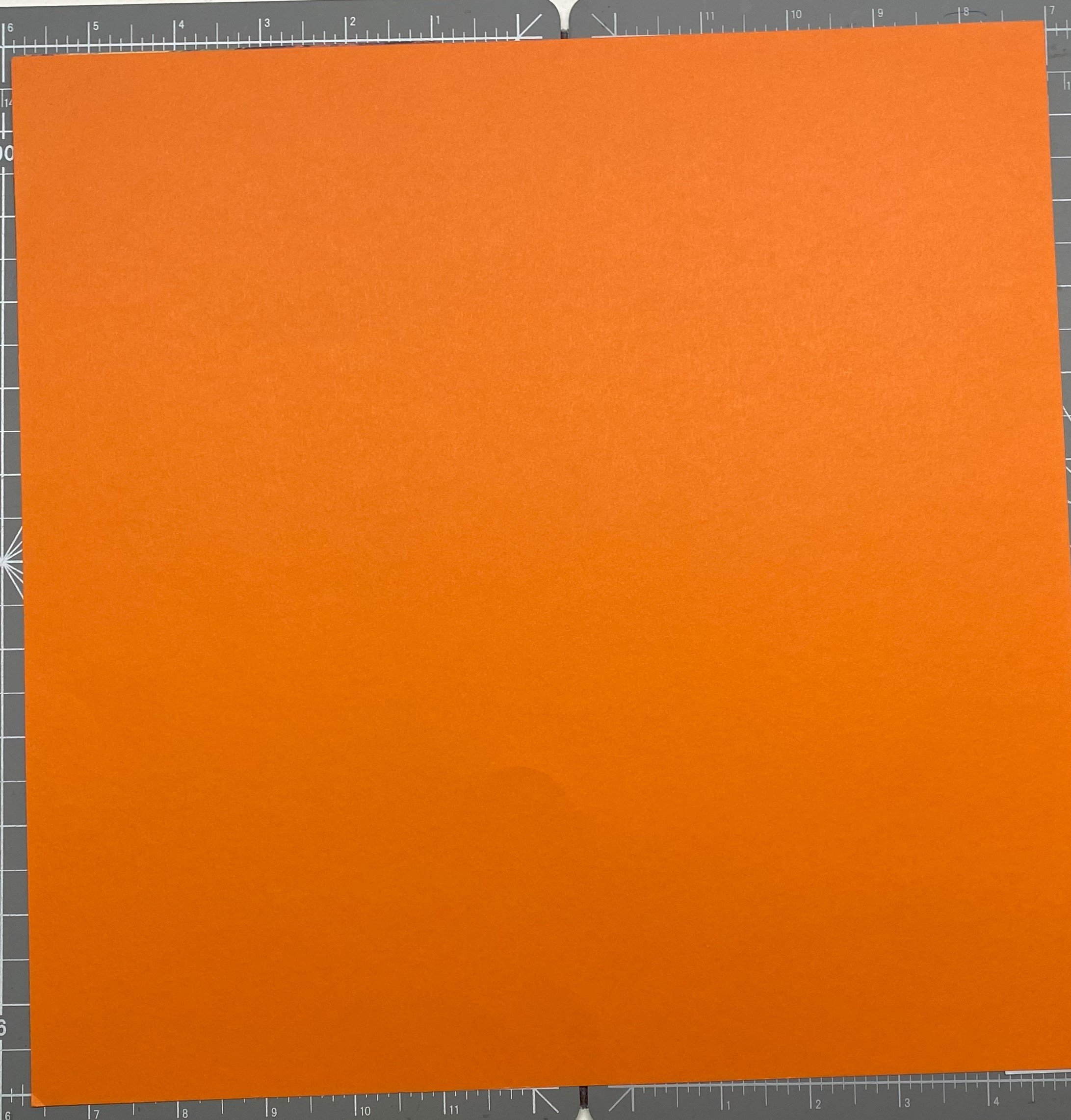 Sedimentary Stripes on Orange. back.jpeg