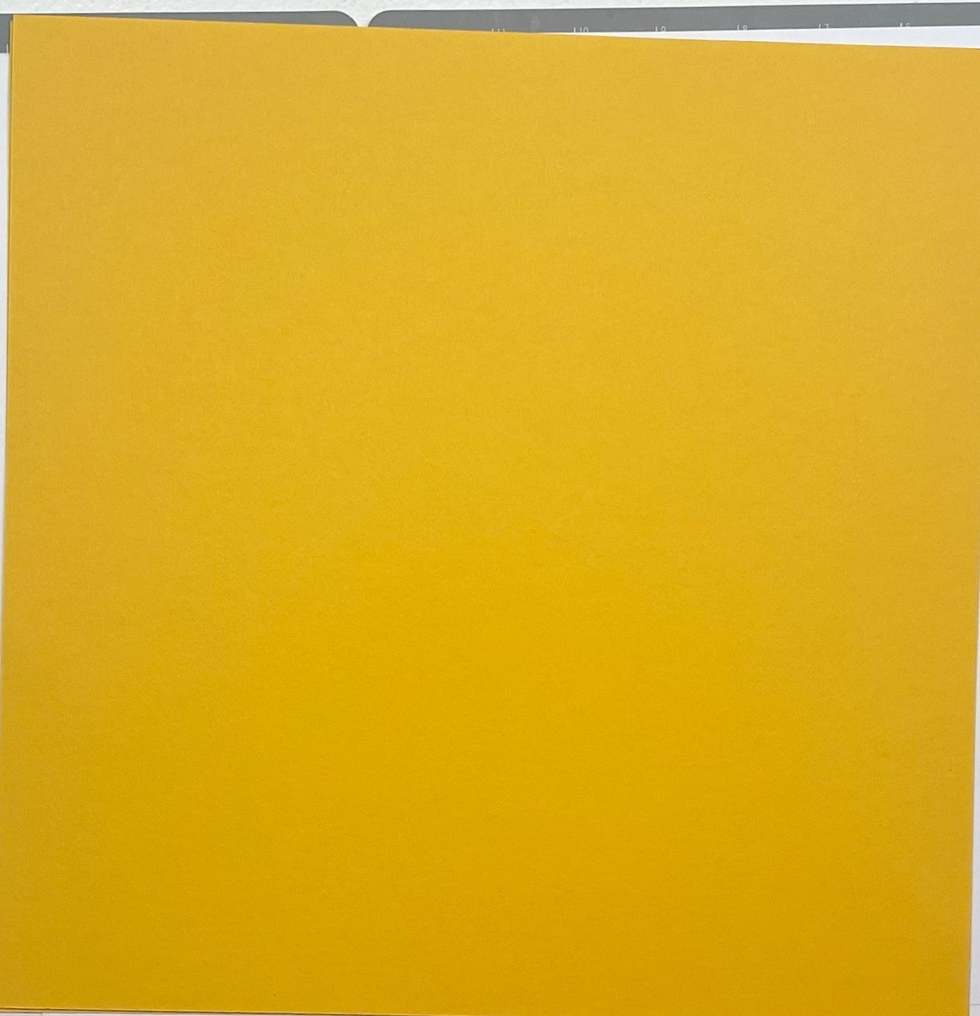 Asian Sticker Stripes on Goldenrod, back.jpeg