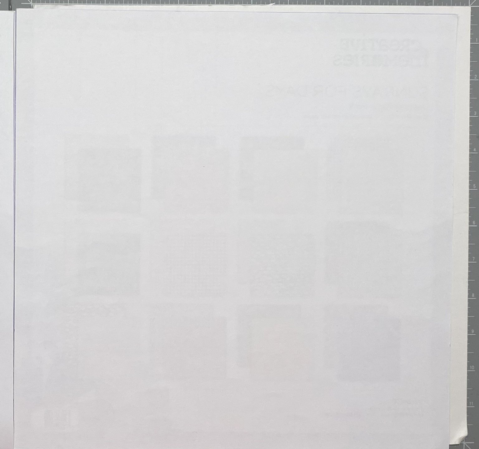 Framed Purple Fringe double-page, back.jpeg