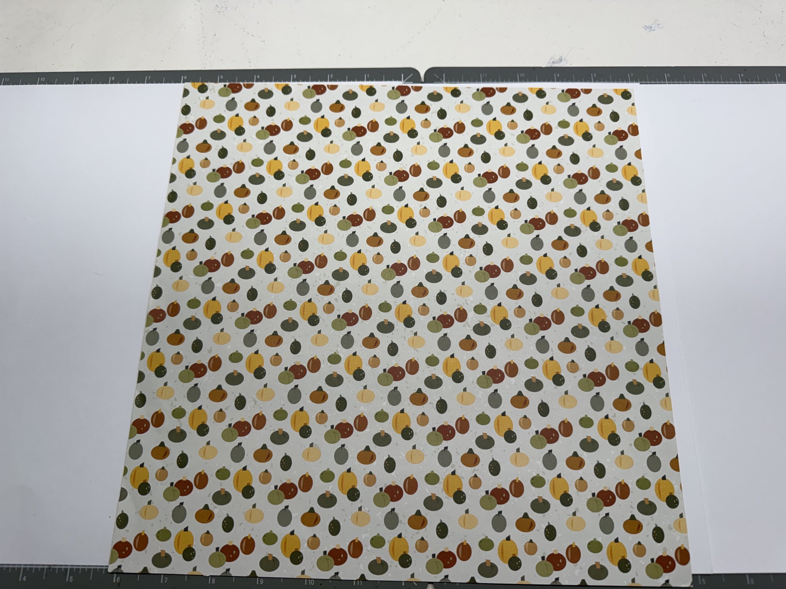 Back, Pumpkin Frame.jpg