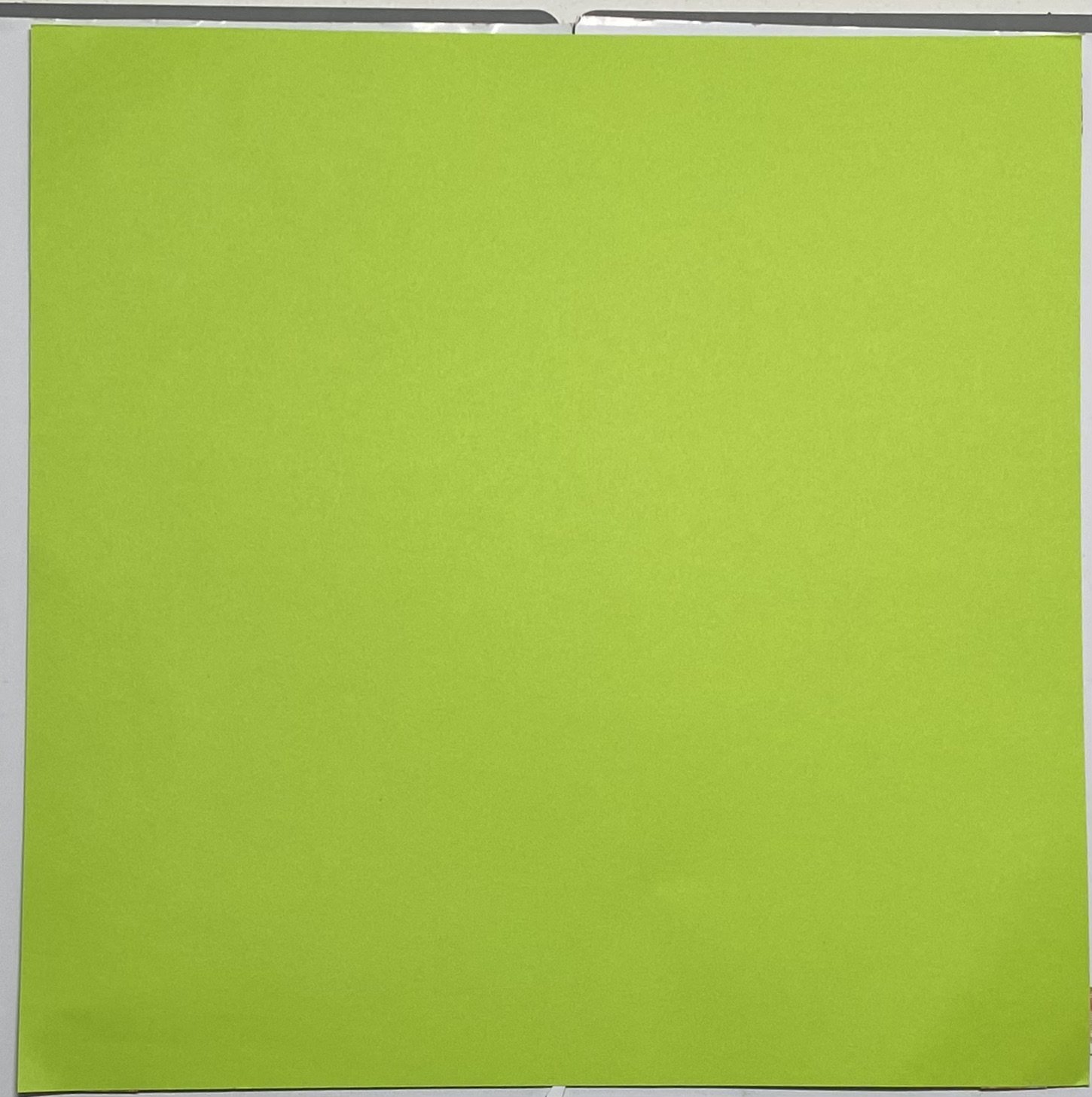 Back Gamma Green card stock.jpeg