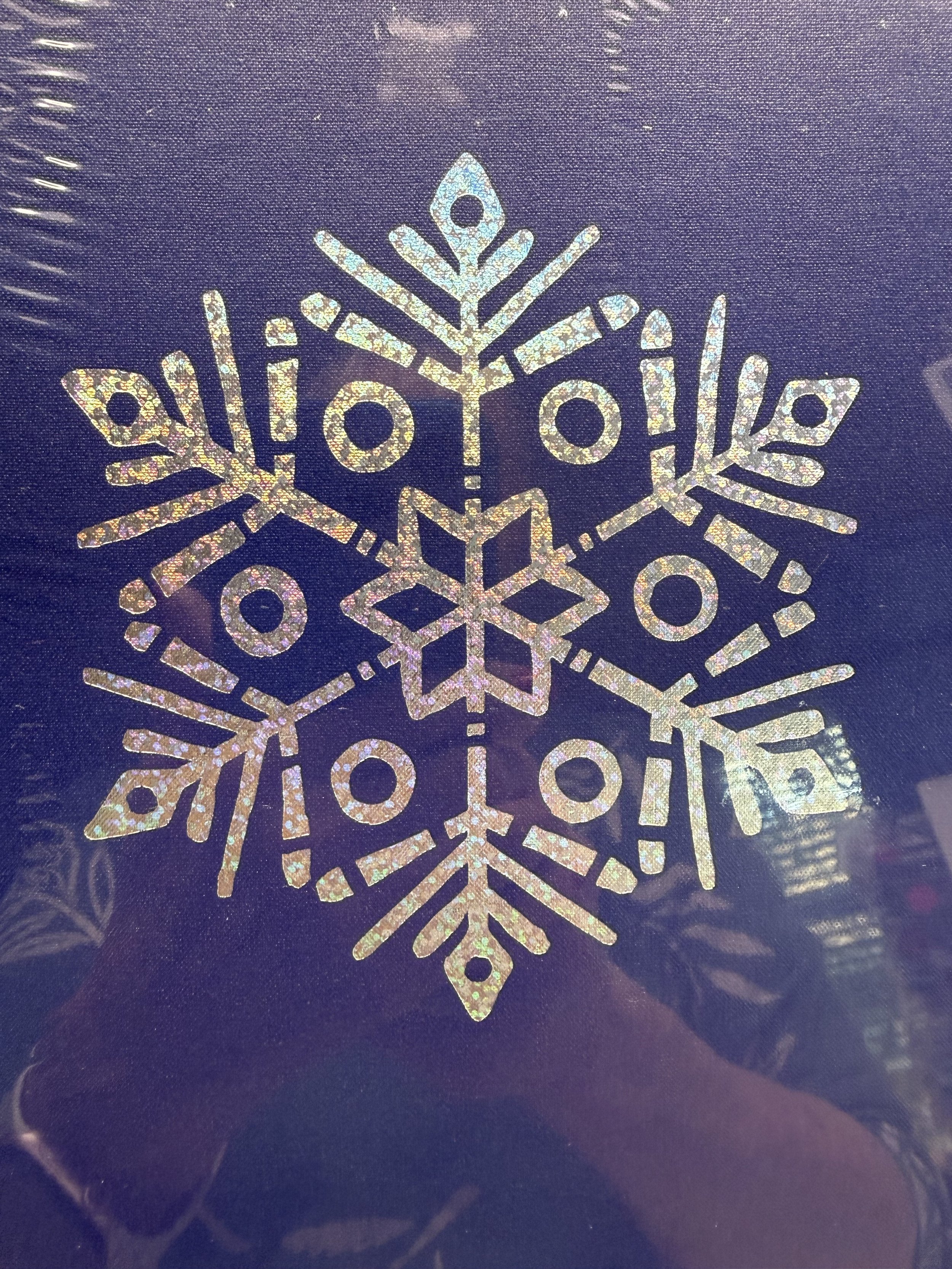 Enchanted Snow Globe 2.jpg