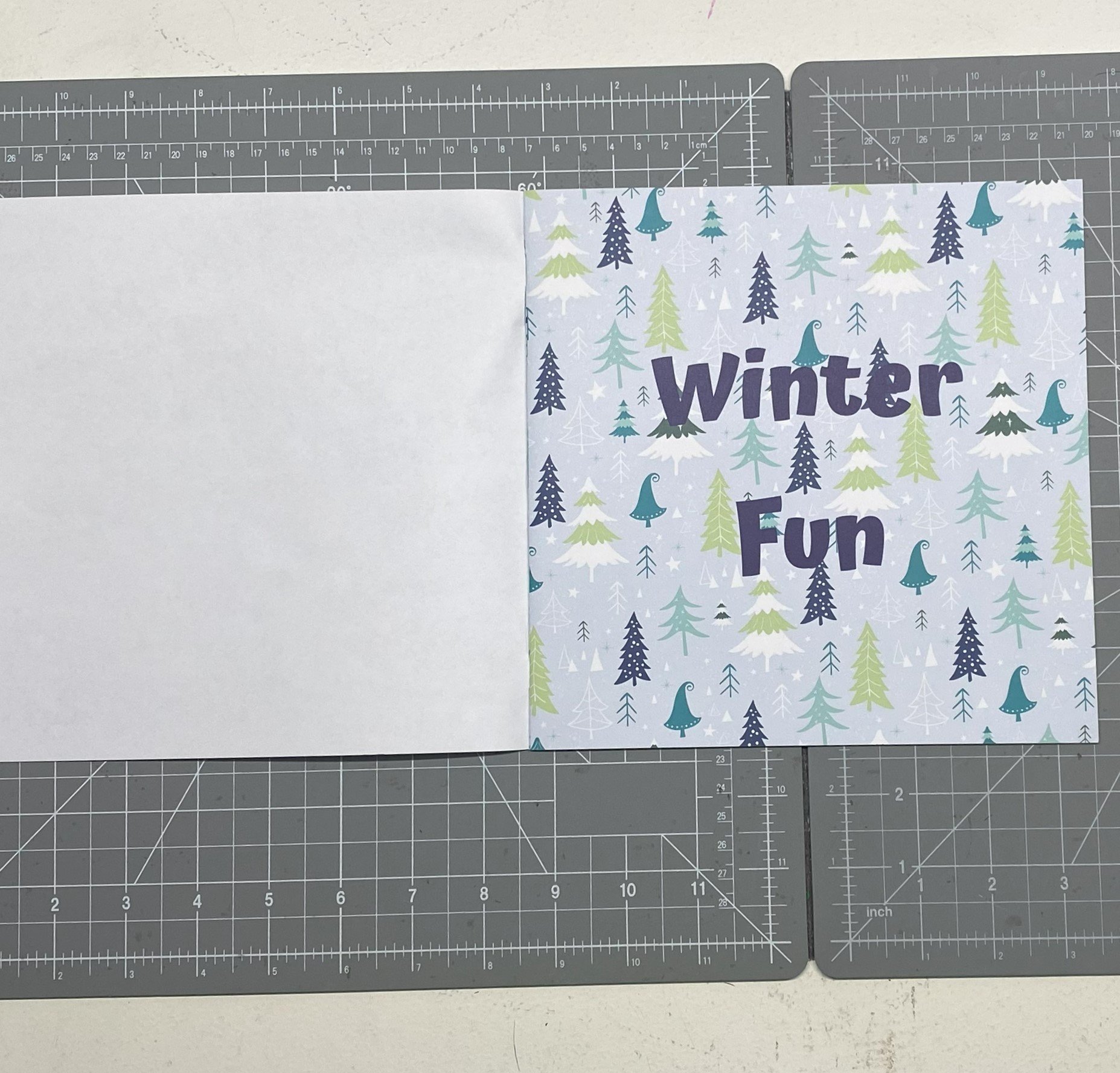 Winter Fun, cover p 1.jpeg