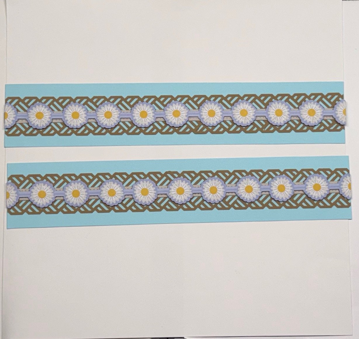 Daisies on Weave.jpeg