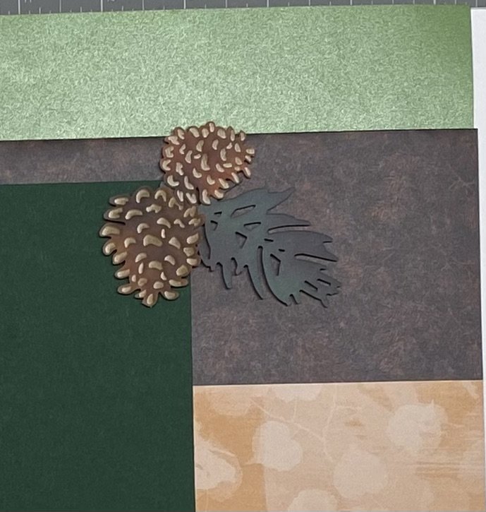 Pinecone right detail.jpeg