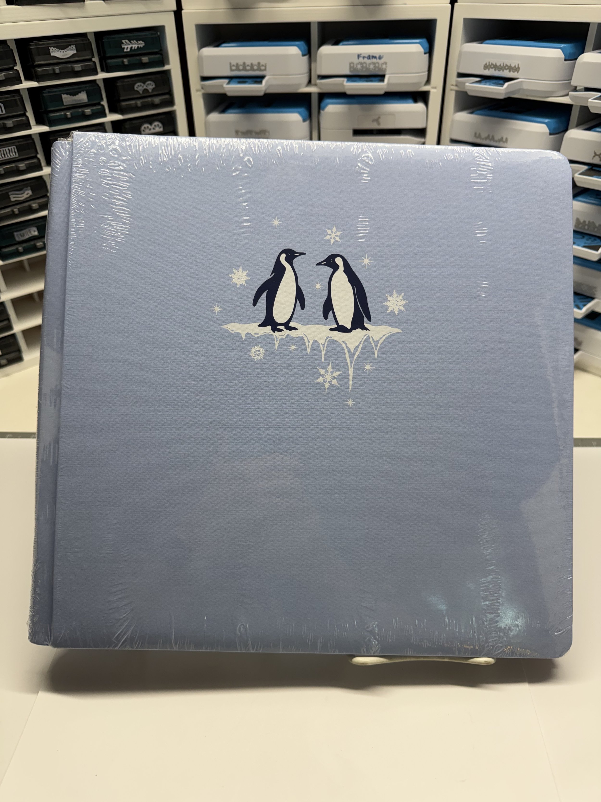 Glacier Frolic, 12 x 12 Icy Blue Foiled Album Cover Set, Creative Memories