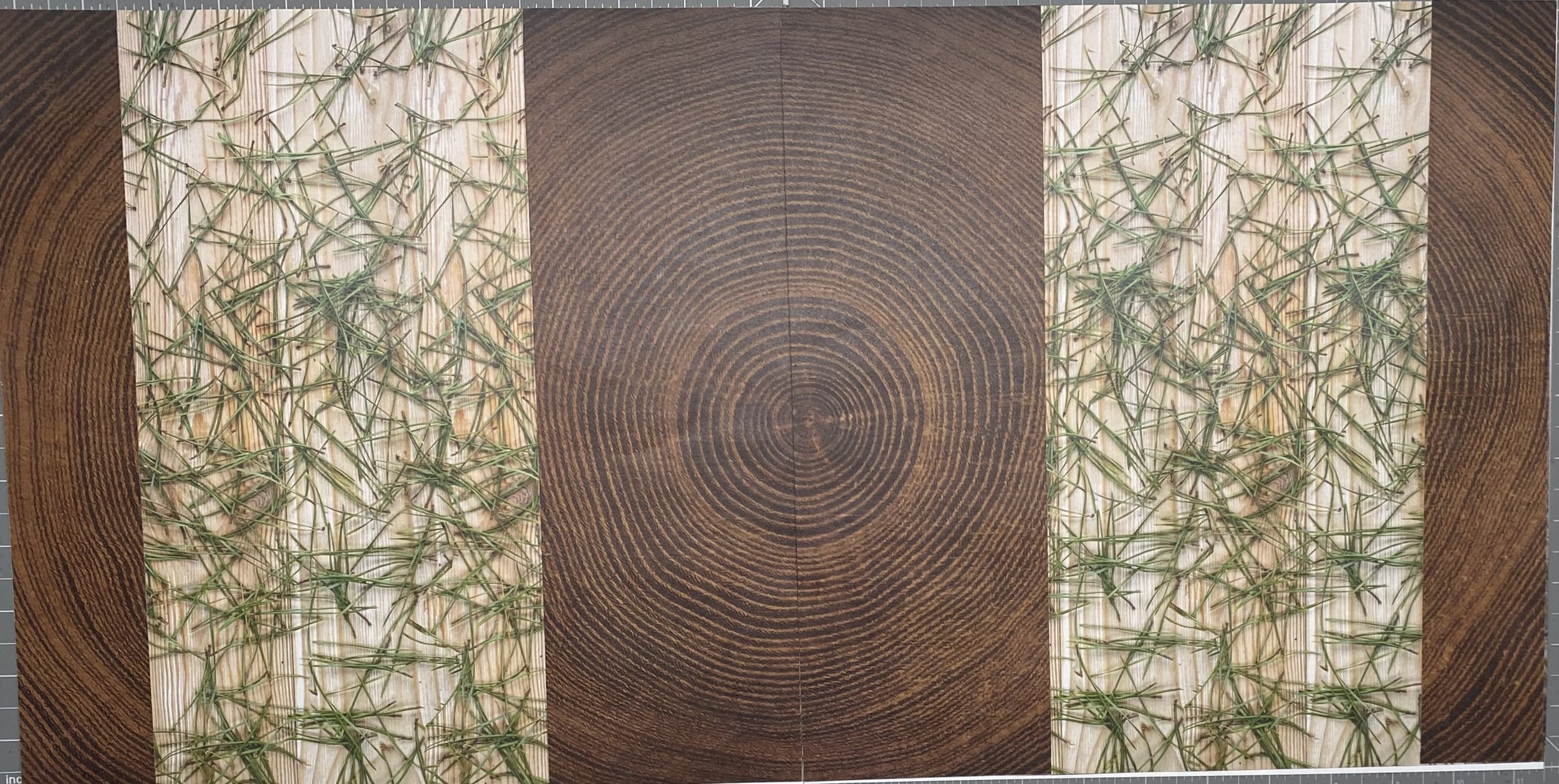 Pine tree double page .jpeg
