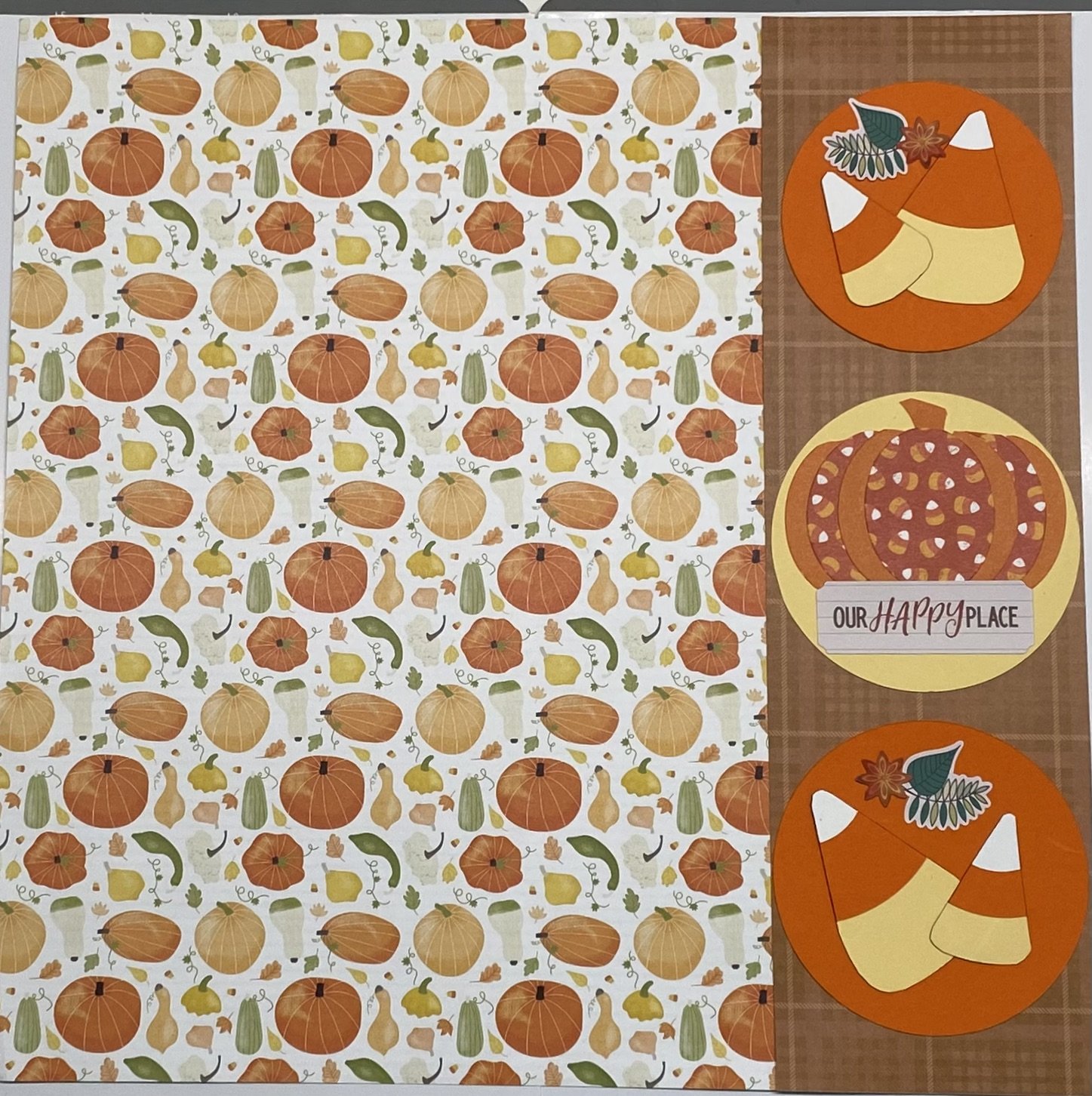 Gourd Happy Place.jpeg