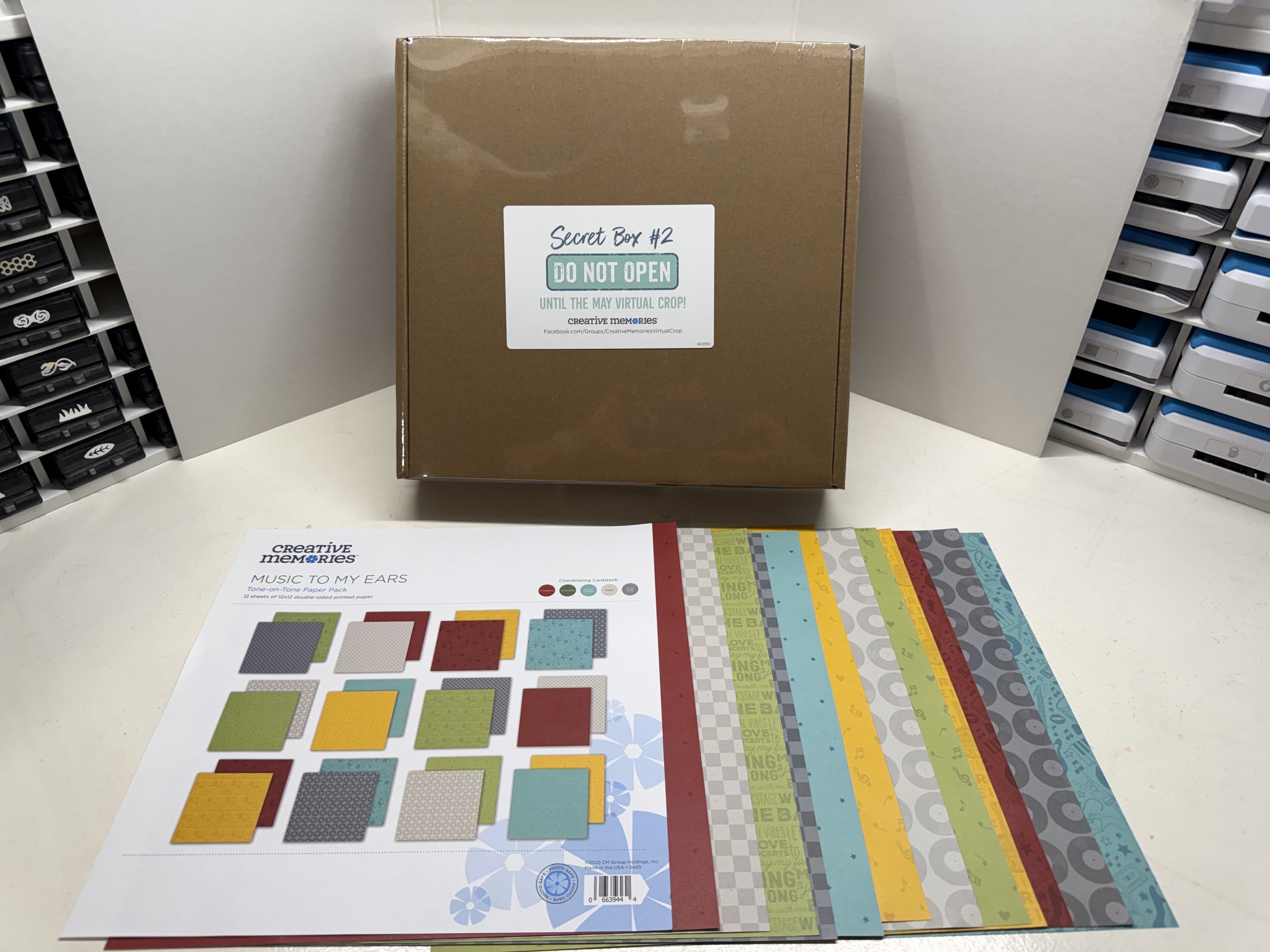 SB #2 2025 Music to my ears.jpg