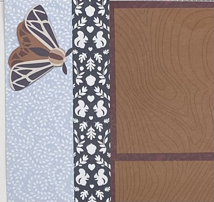 Squirrels & Moths left detail .jpeg