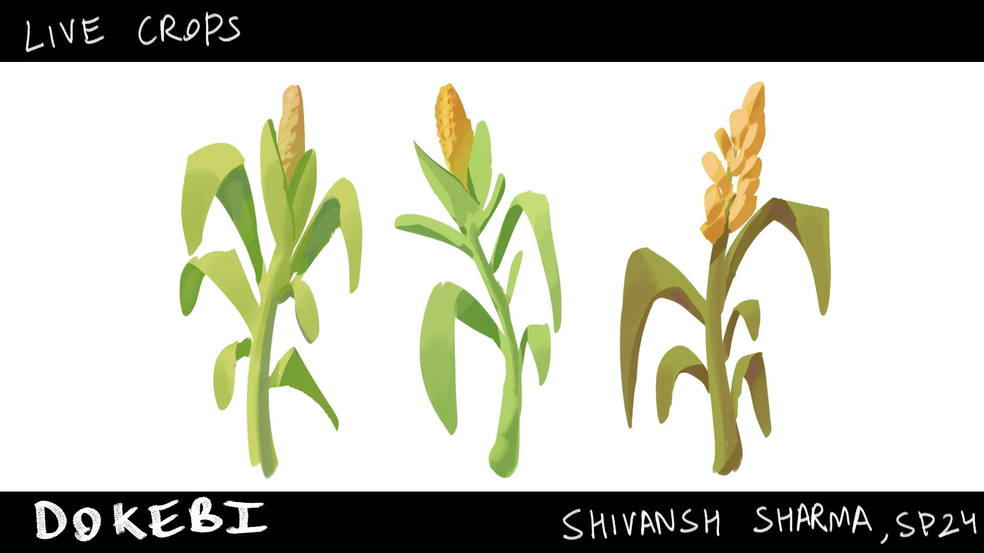 live crops paitn.jpg