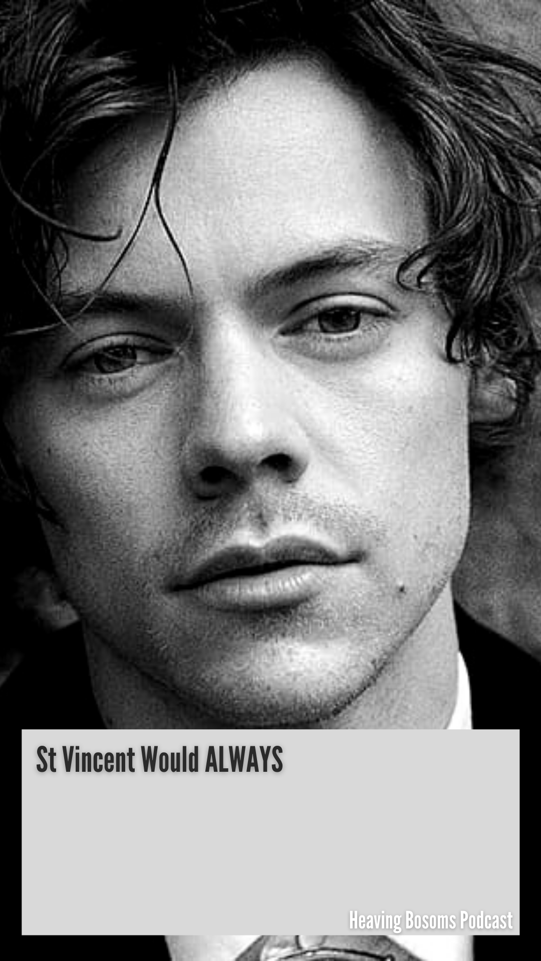 harry styles.png