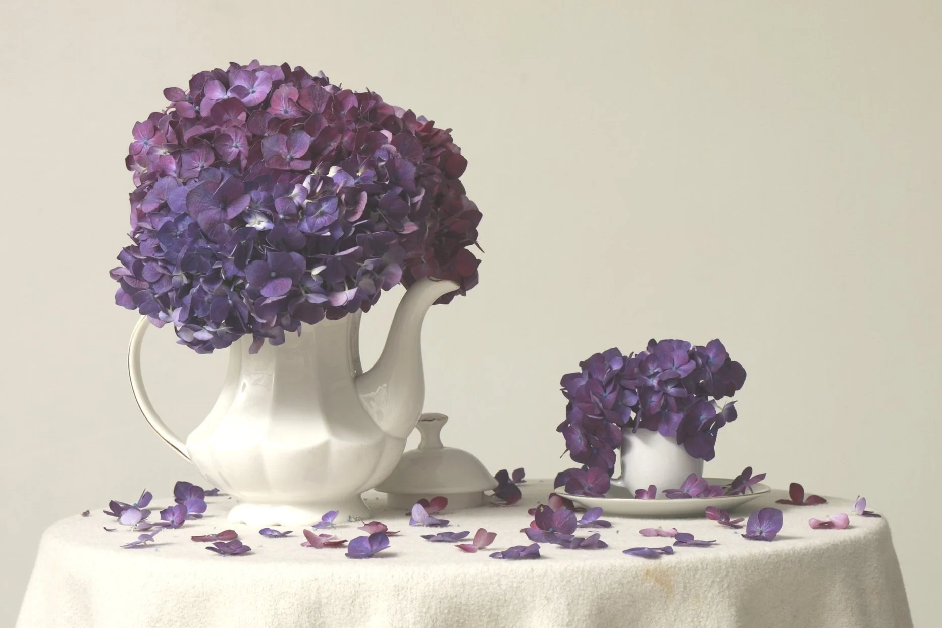 Versatile Elegance: Exploring the Many Uses of Hydrangeas in Floristry