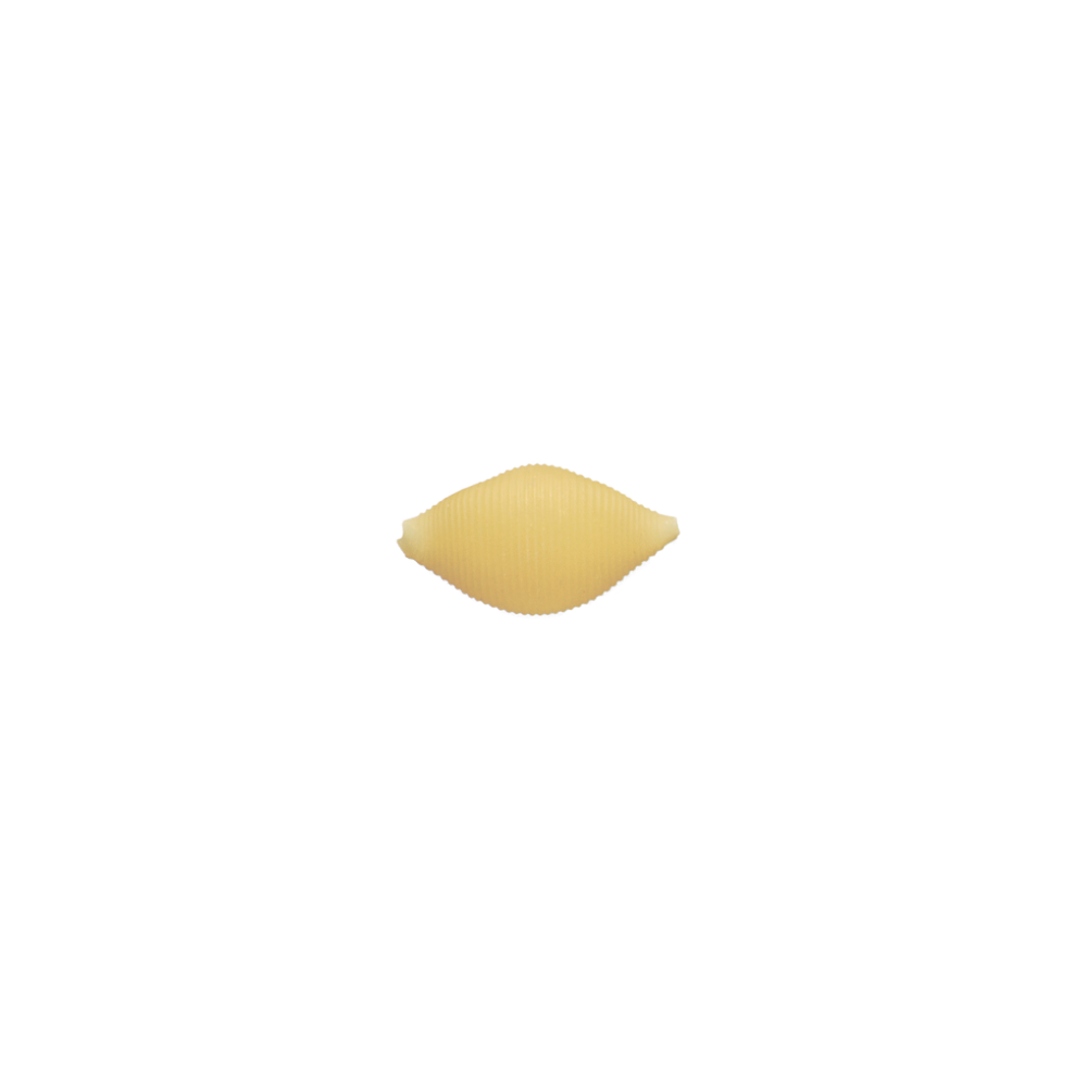 171-Shells.png