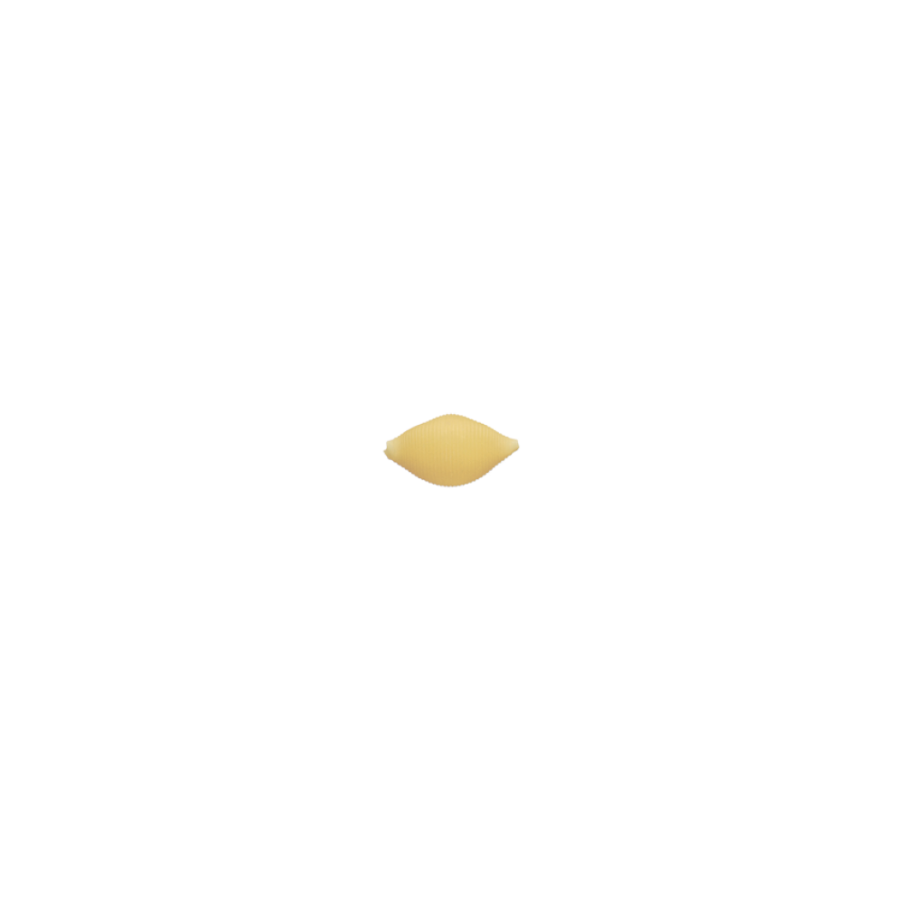 169-Shells.png