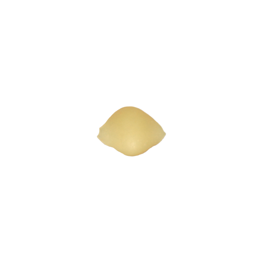 161-Shells.png