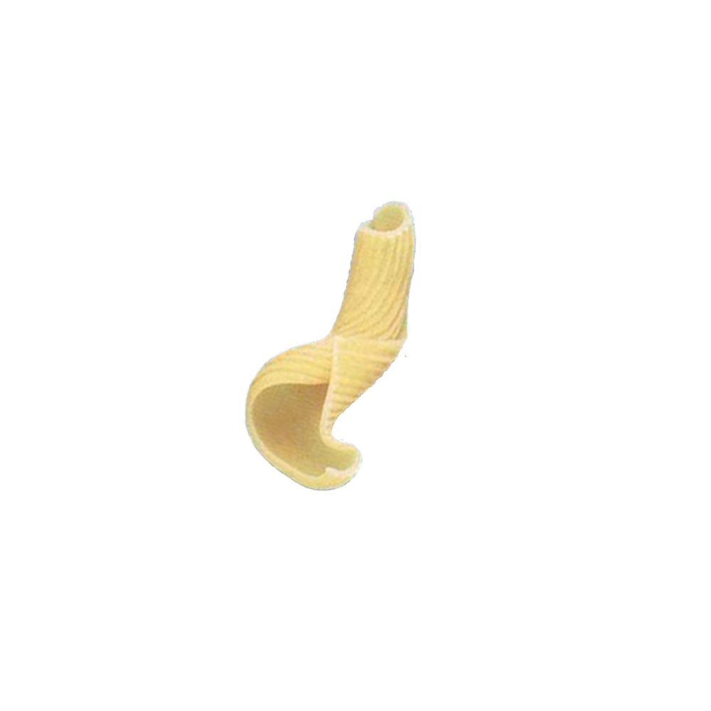 254-Torchietti.png