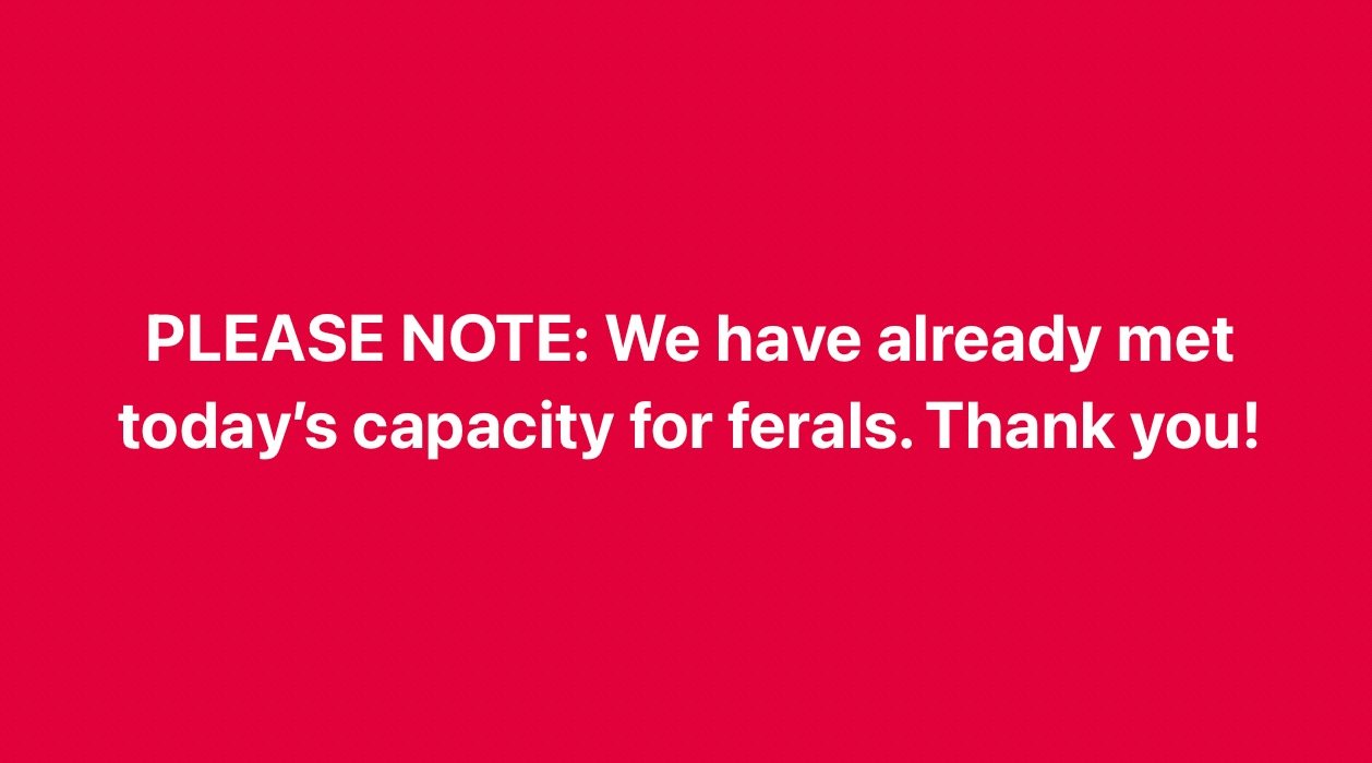 PLEASE NOTE: We have already met today&rsquo;s capacity for ferals. Thank you!
