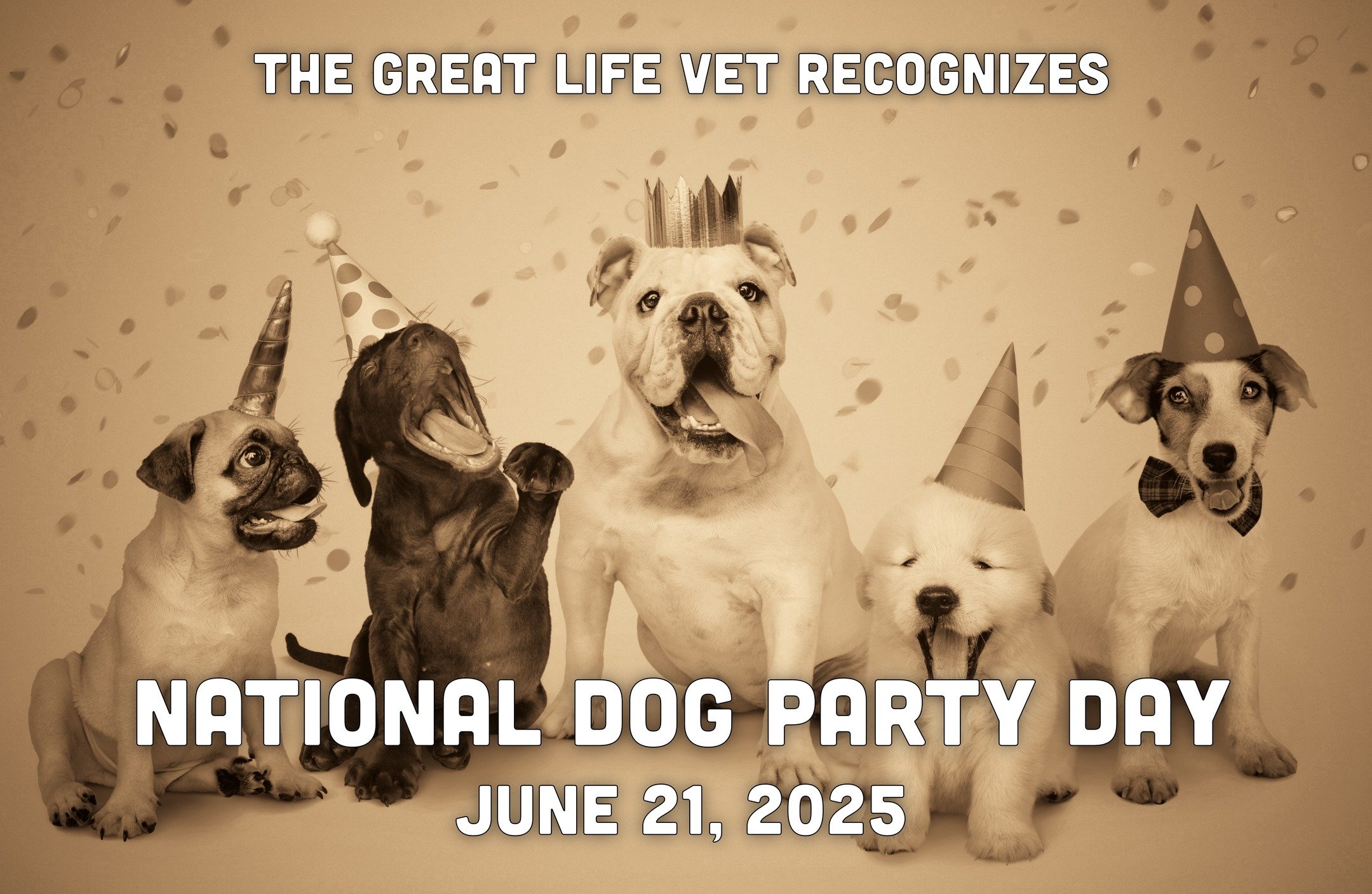 Happy National Dog Party Day! 🥳🥳🥳
