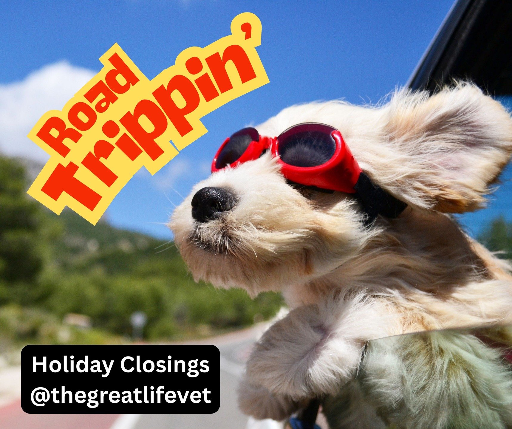 For this week only, we will be OPEN on Wednesday, July 2. We will also be CLOSED for the holiday on Thursday, July 3 and Friday, July 4. Thank you! #happyfourthofjuly