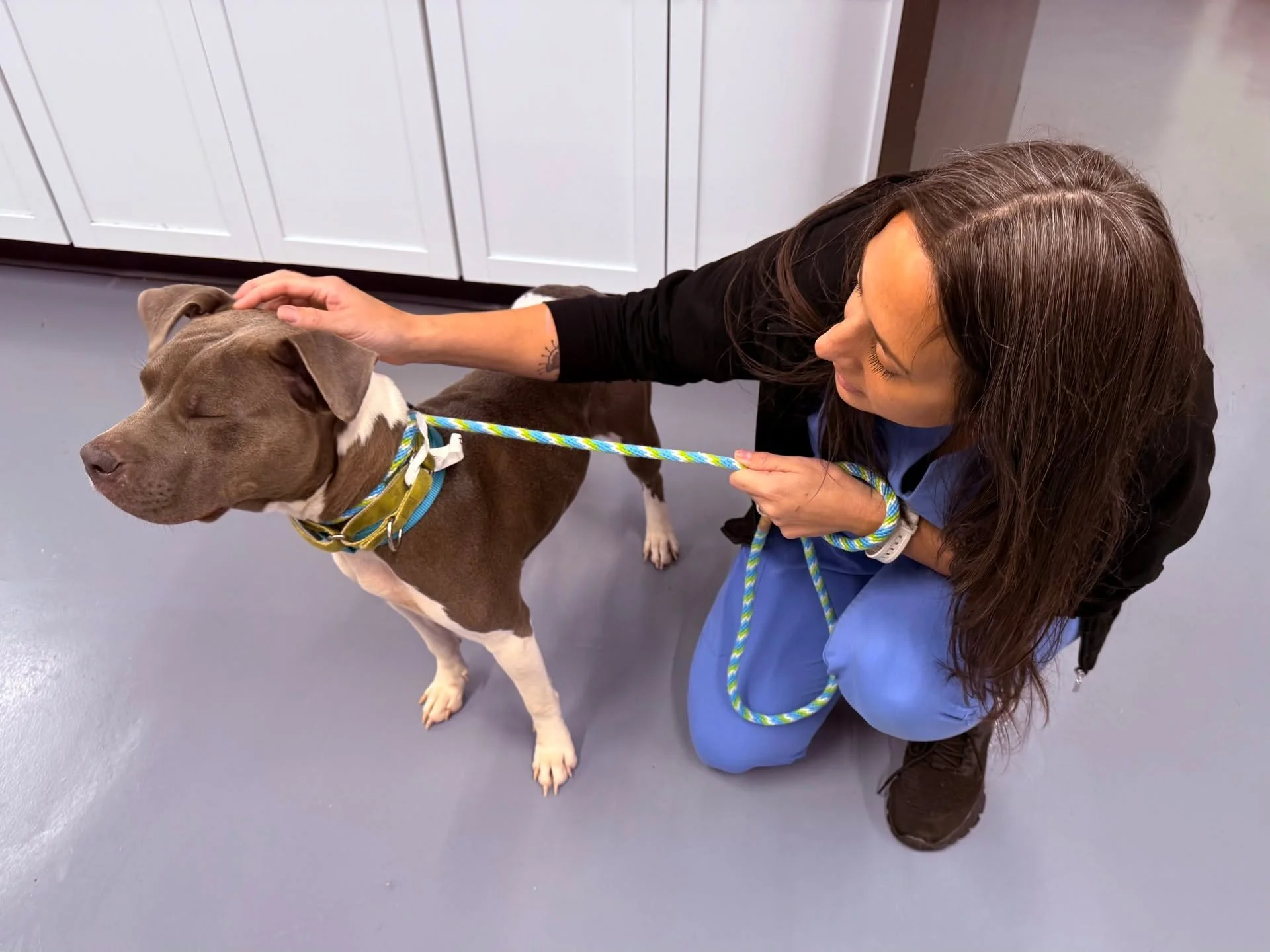 SPOTTED AT THE GREAT LIFE: Precious &quot;Emerald,&quot; who was in for a fix courtesy of the nice people at Summit County Animal Control! She also got plenty of hugs and kisses. 😘