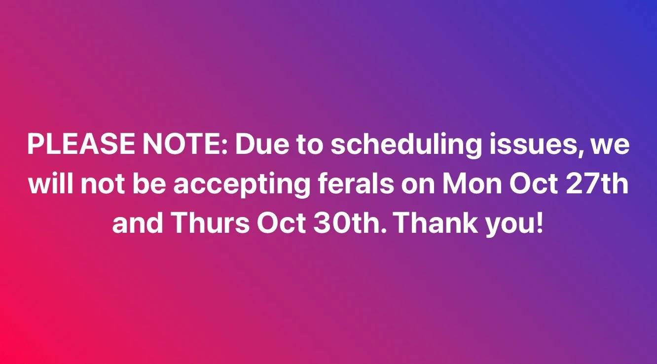 PLEASE NOTE: Due to scheduling issues, we will not be accepting ferals on Mon Oct 27th and Thurs Oct 30th. Thank you!