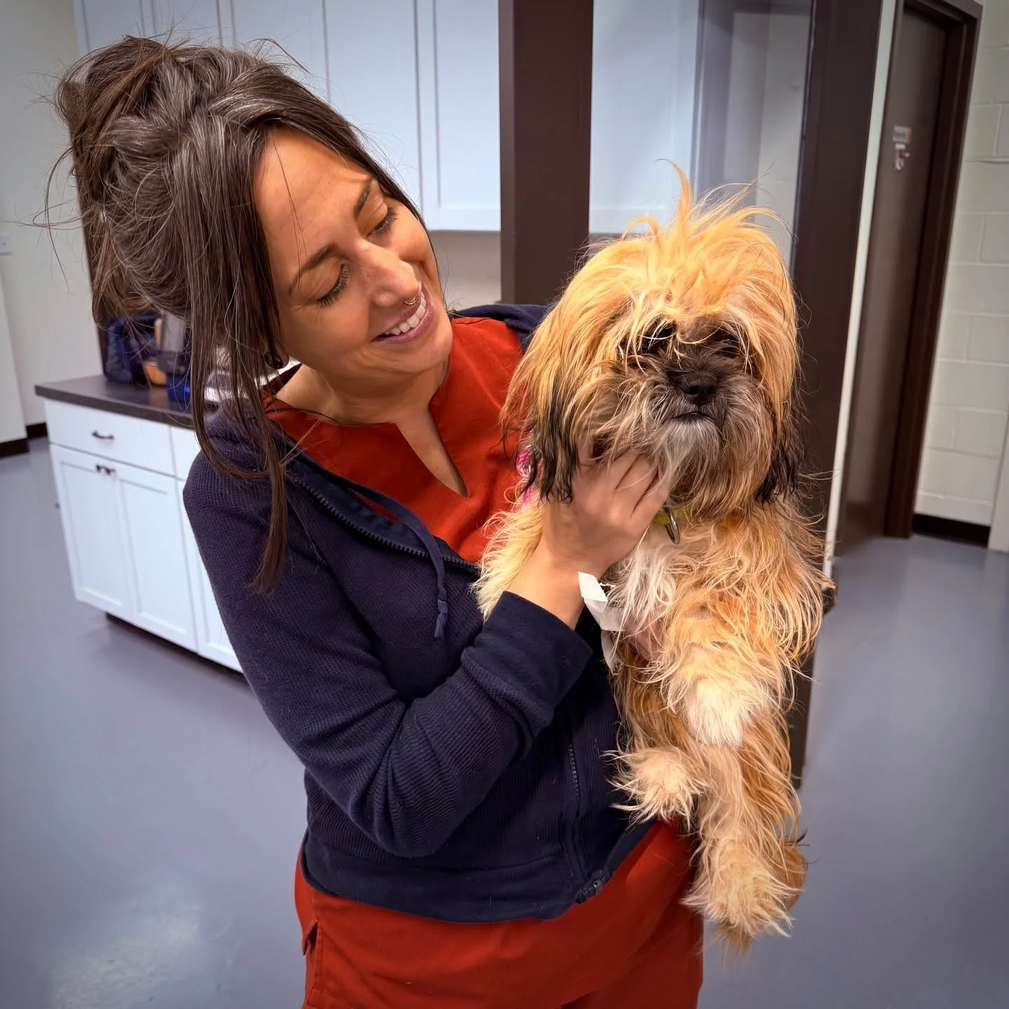 SPOTTED AT THE GREAT LIFE: &quot;Salt&quot; is looking a little scruffy right now, but he's just one grooming away from looking both suave and sophisticated! The four-year-old Shih Tsu was in for a fix courtesy of the nice people at Summit County Ani