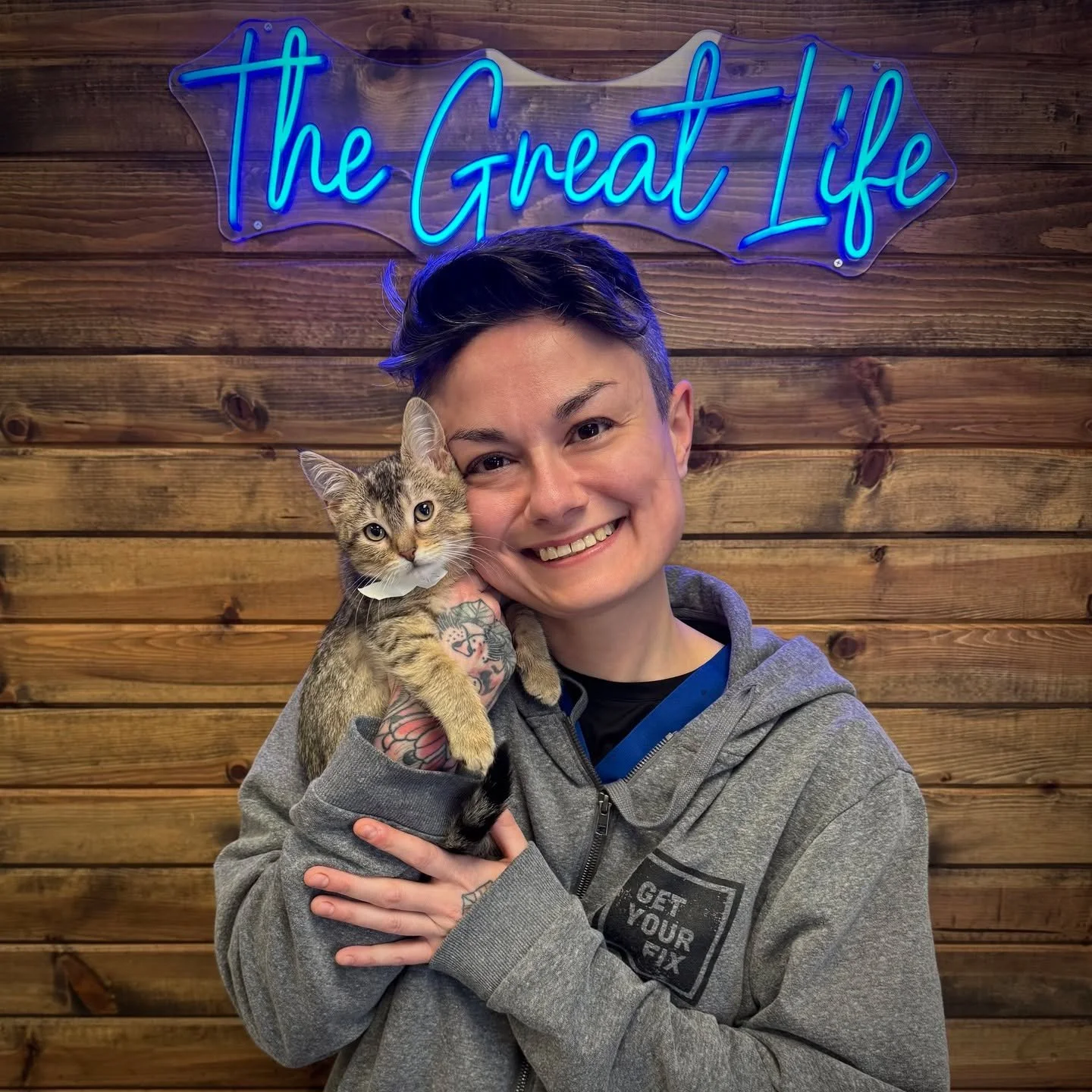 October 29th is National Cat Day! Here's to the independent&mdash;and often hilarious&mdash;felines who grace our lives. 🥰 #nationalcatday