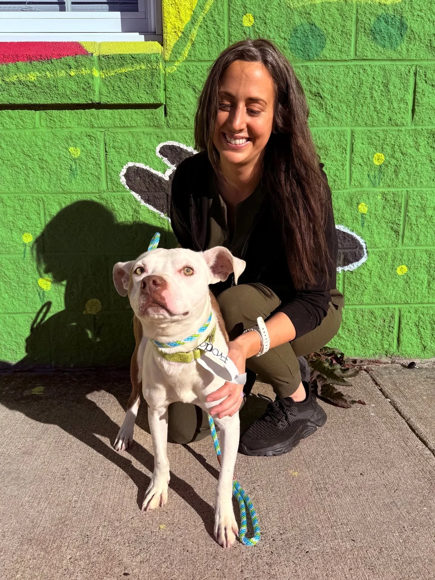 SPOTTED AT THE GREAT LIFE: Frisky &quot;Frodo,&quot; who was in for a fix courtesy of the nice people at Summit County Animal Control! 😀