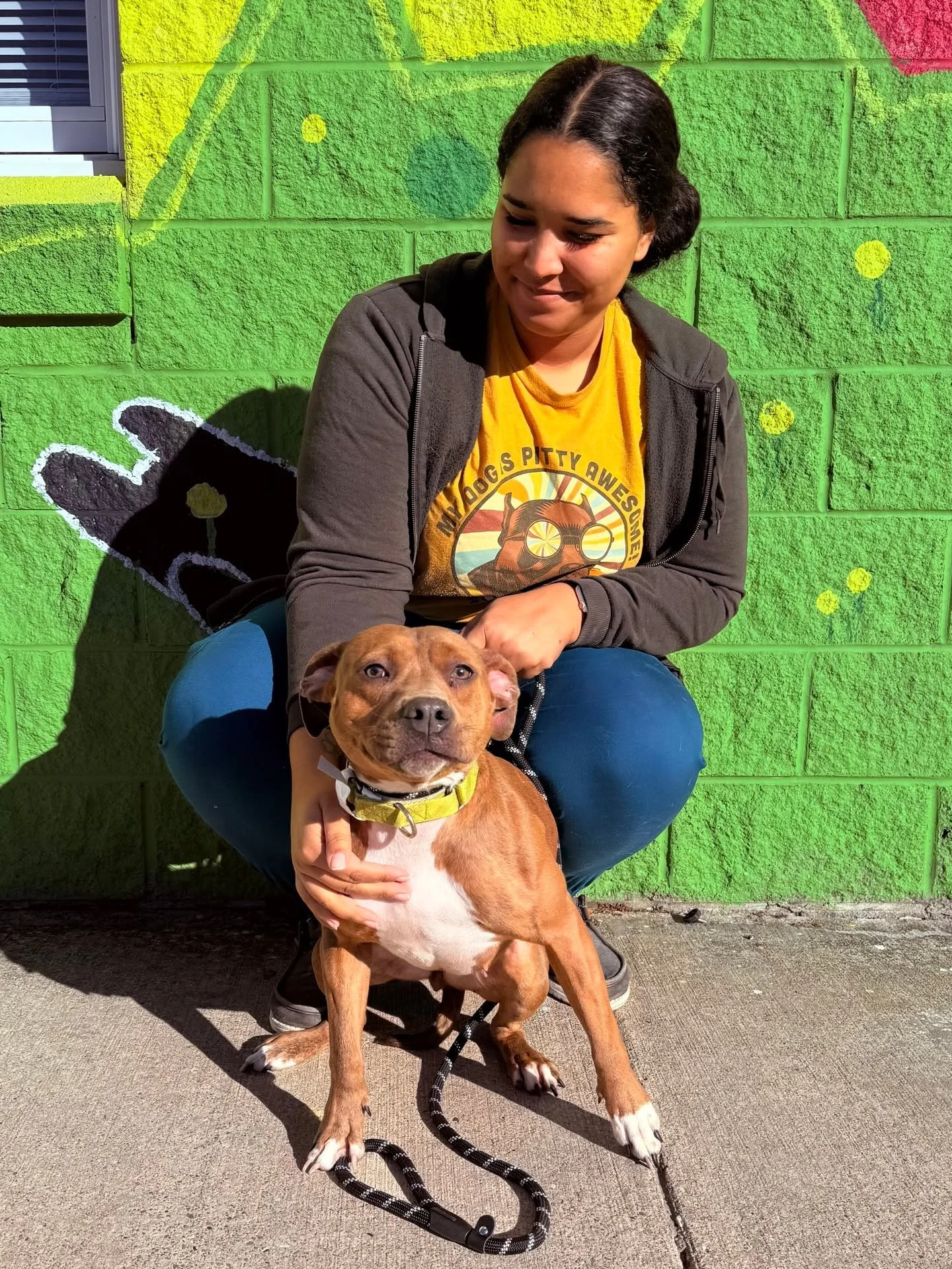 SPOTTED AT THE GREAT LIFE: Charismatic &quot;Cheesy Bread,&quot; who was in for a fix courtesy of the nice people at Summit County Animal Control! 😀