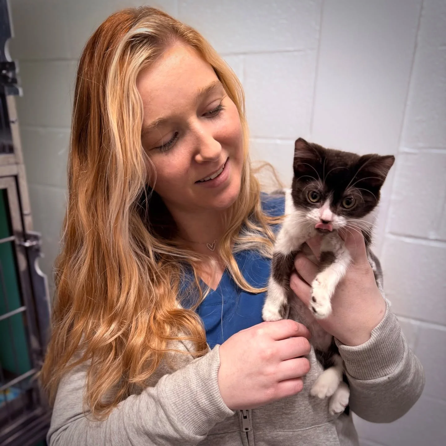 SPOTTED AT THE GREAT LIFE: Little "Pop," in for a fix courtesy of the nice people at For Paw's Sake TNR . ❤️