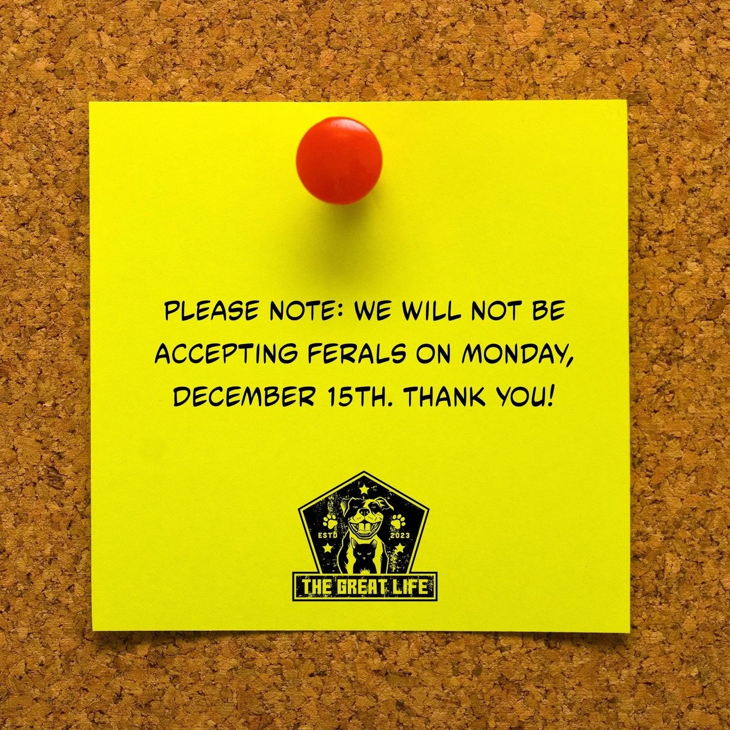 PLEASE NOTE: We will NOT be accepting ferals on Monday, December 15th. Thank you!