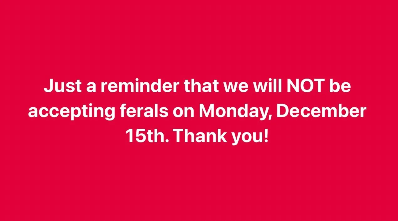 Just a reminder that we will NOT be accepting ferals on Monday, December 15th. Thank you!