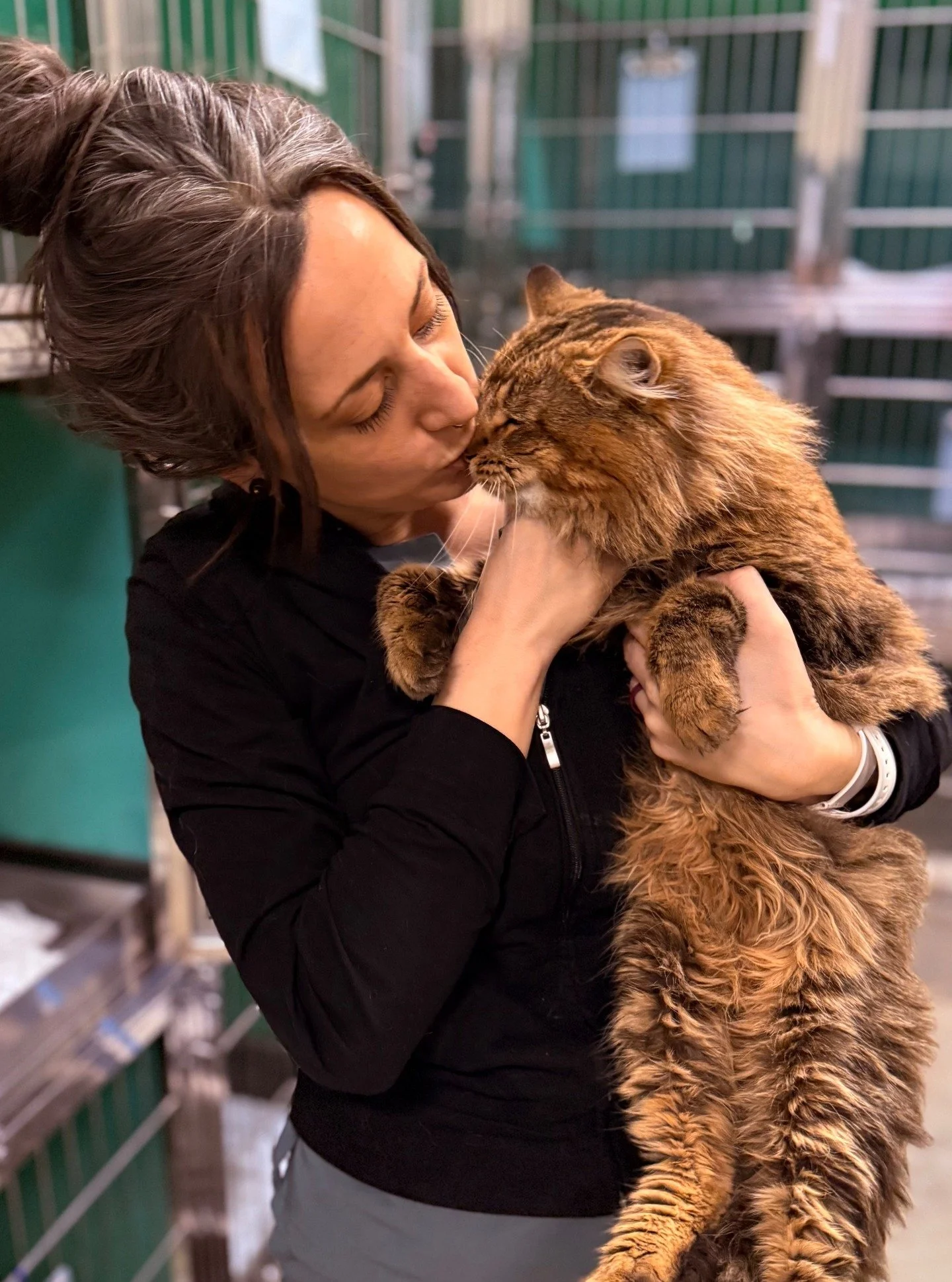 SPOTTED AT THE GREAT LIFE: TGL's own Casey and "Frank the Tank" getting an early New Year's Eve smooch in! Why wait until midnight? Frank was in for a fix courtesy of the nice people at Medina County SPCA. Happy New Year to everyone! 🥳