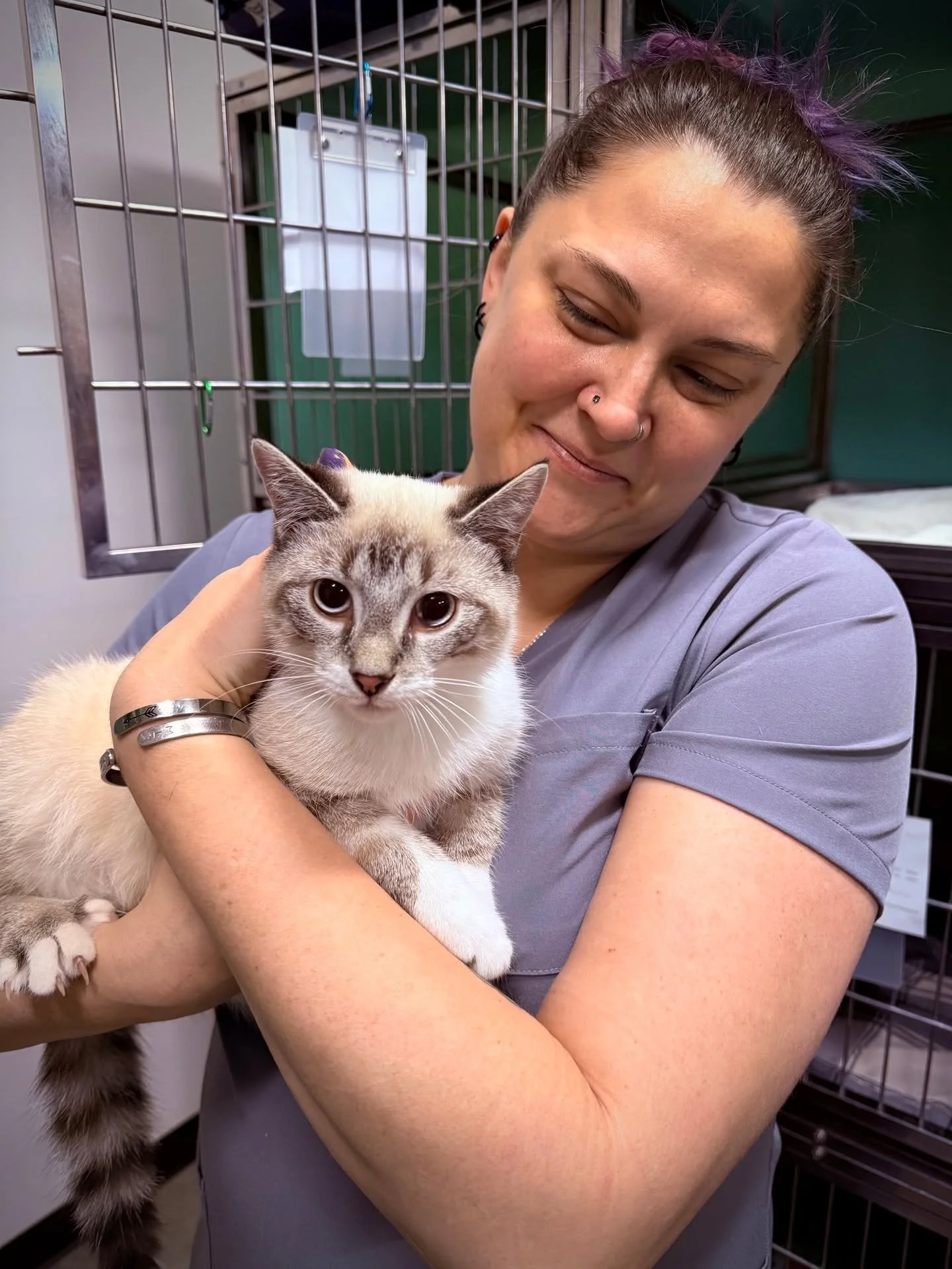 SPOTTED AT THE GREAT LIFE: "Smokey," who was in for a fix courtesy of the nice people at Tree City Cats! 🐱🐱🐱