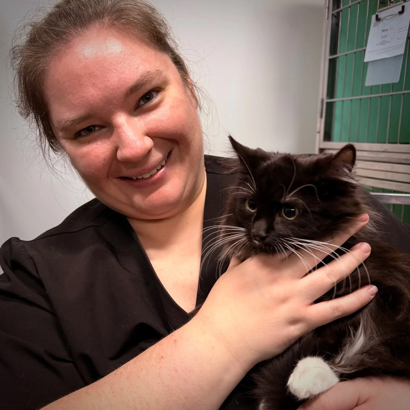 SPOTTED AT THE GREAT LIFE: Magnificent "Marvin"&mdash;in for a fix courtesy of the nice people at Rose&rsquo;s Rescue! 😃