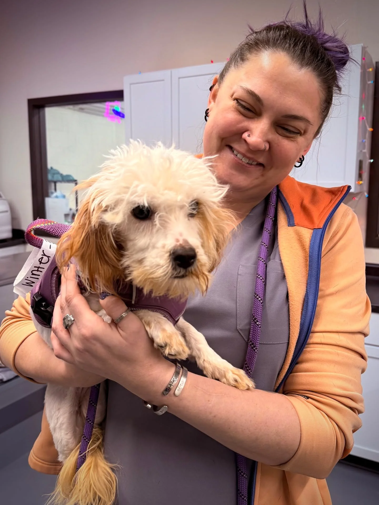 SPOTTED AT THE GREAT LIFE: Sweet "Winter"&mdash;the 2 year-old Maltese was in for a fix courtesy of the nice people at @summitanimalcontrol! 🥰