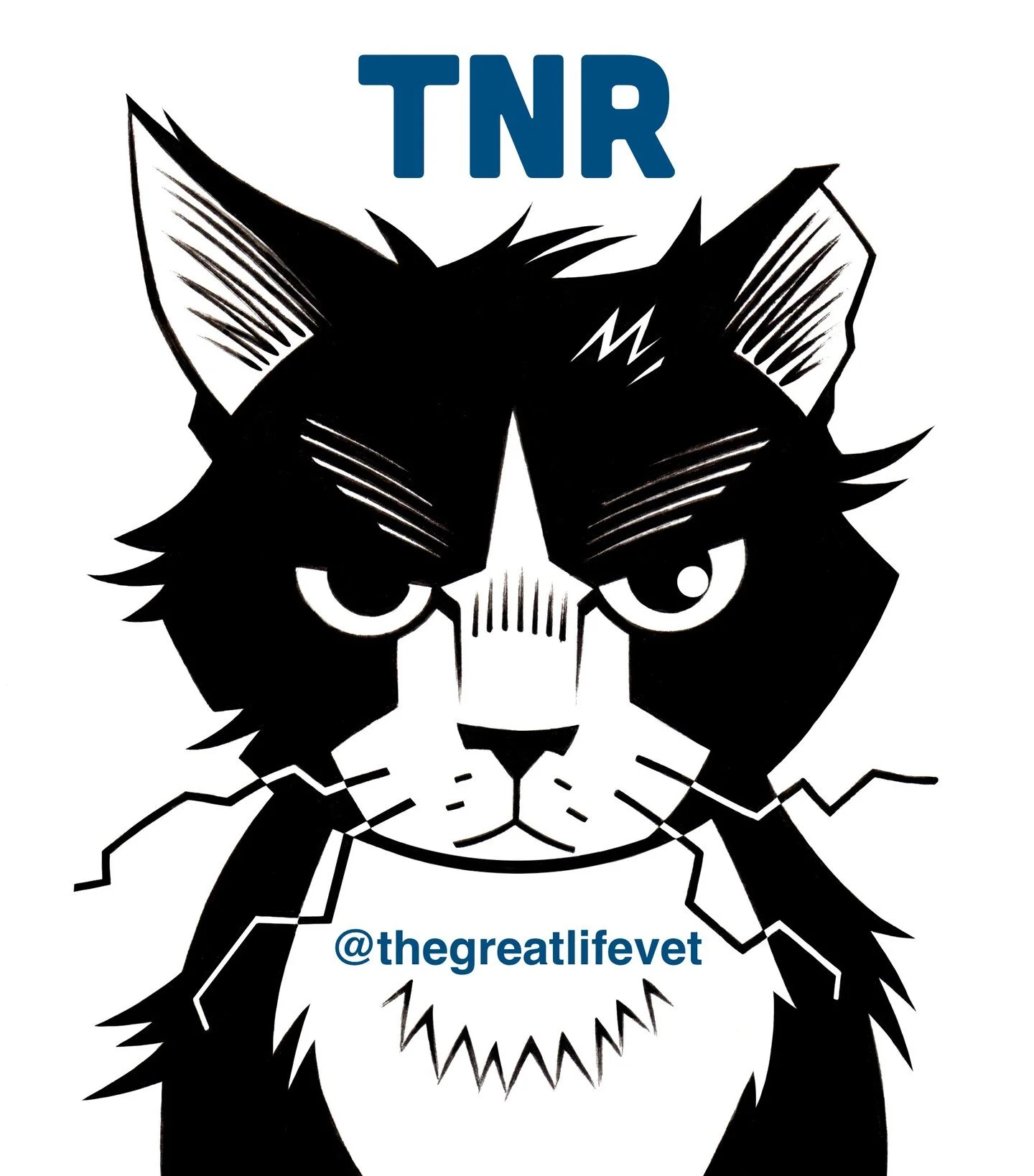 PLEASE NOTE: We will no longer be accepting ferals on Mondays. We will continue to accept ferals on Thursdays. Thank you!