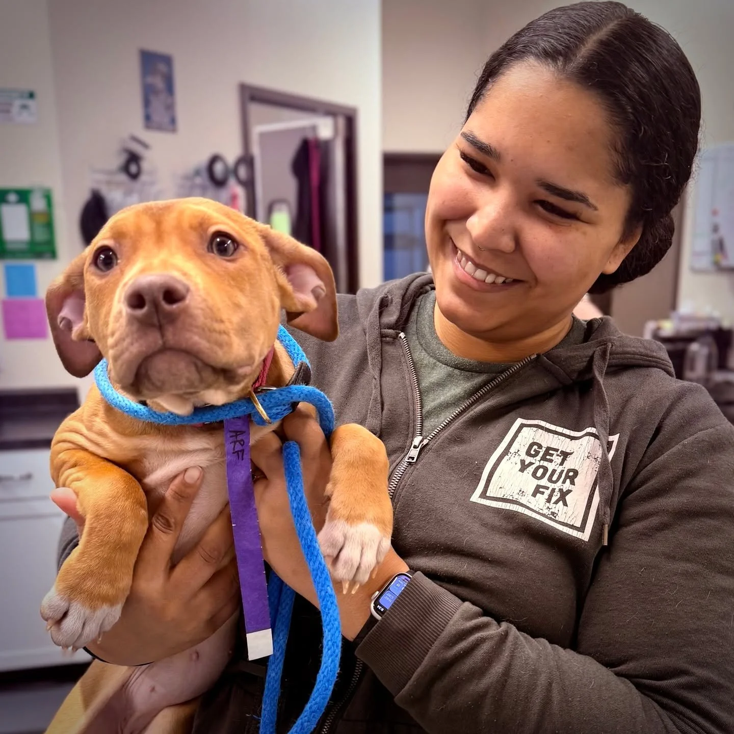 SPOTTED AT THE GREAT LIFE: Super-fun "Lainey," in for a fix courtesy of the nice people at Berea Animal Rescue Fund. 😃